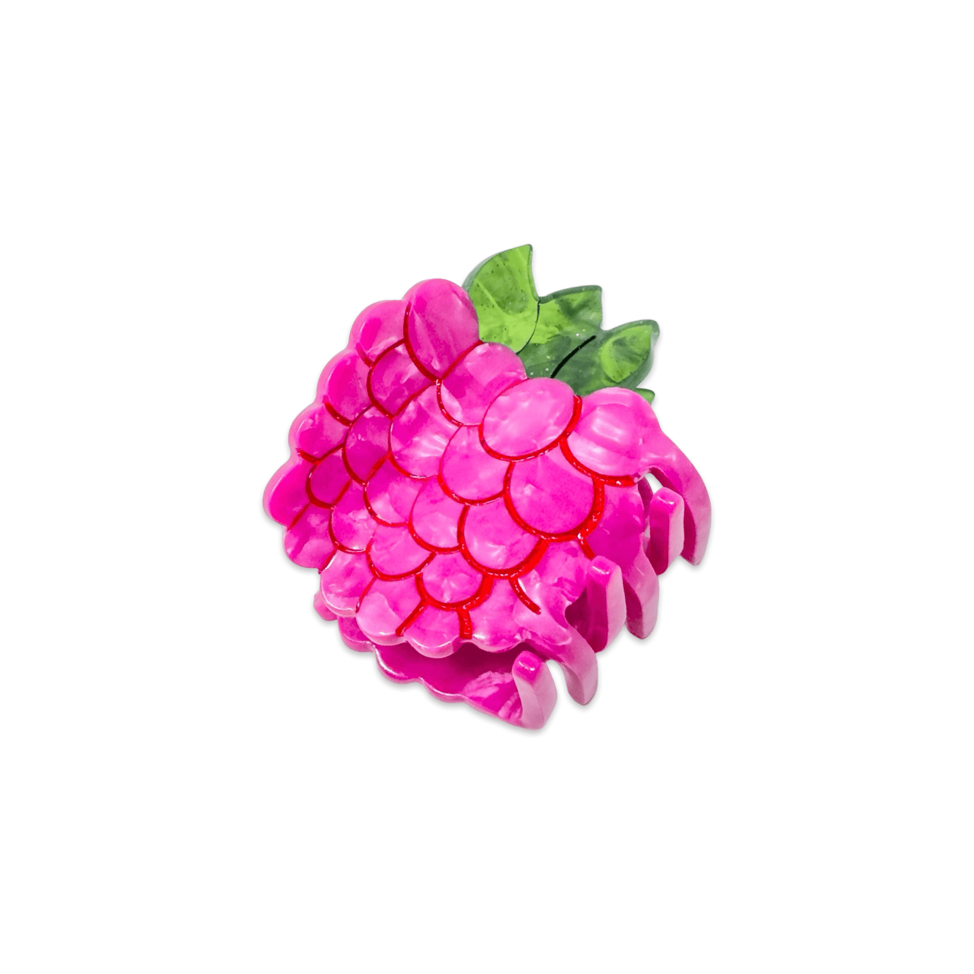 Jenny Lemons - Mini Raspberry Hair Claw Clip