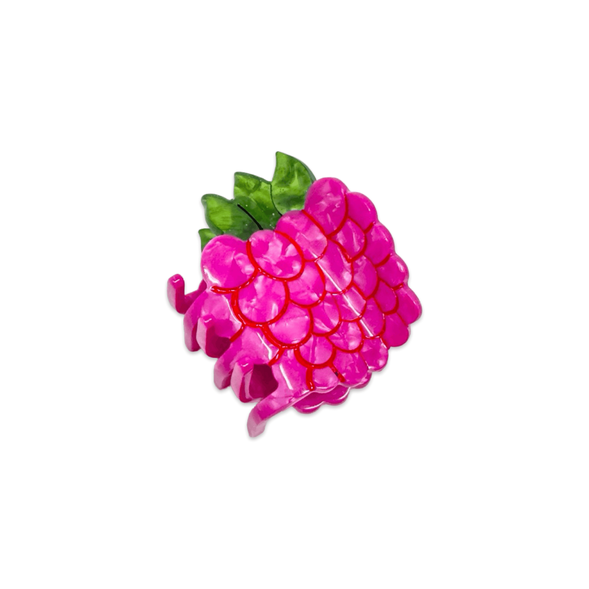Jenny Lemons - Mini Raspberry Hair Claw Clip