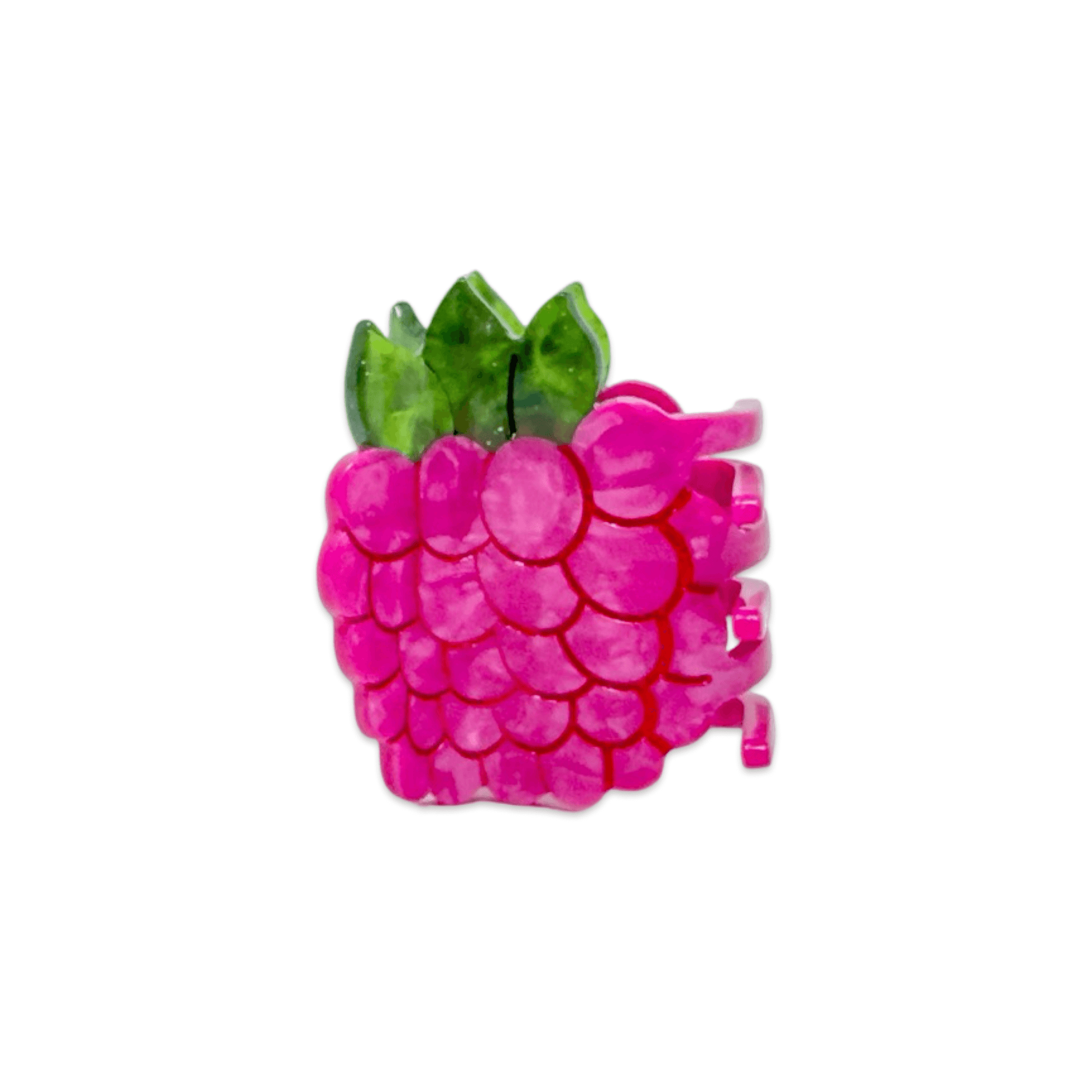 Jenny Lemons - Mini Raspberry Hair Claw Clip