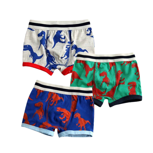 Boys Boxers Briefs - 3pk