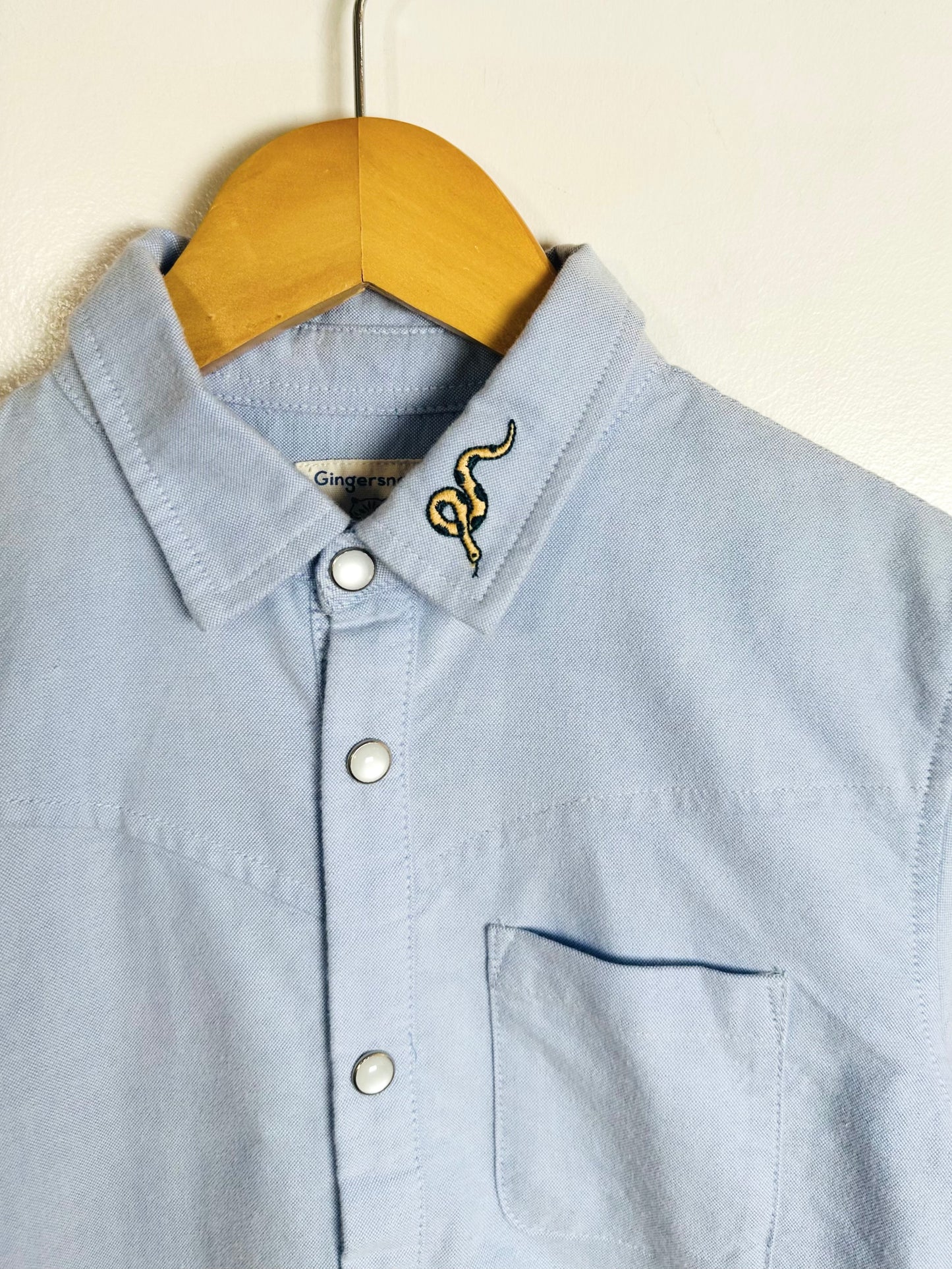Light blue shirt with collar design on a hanger against a white background