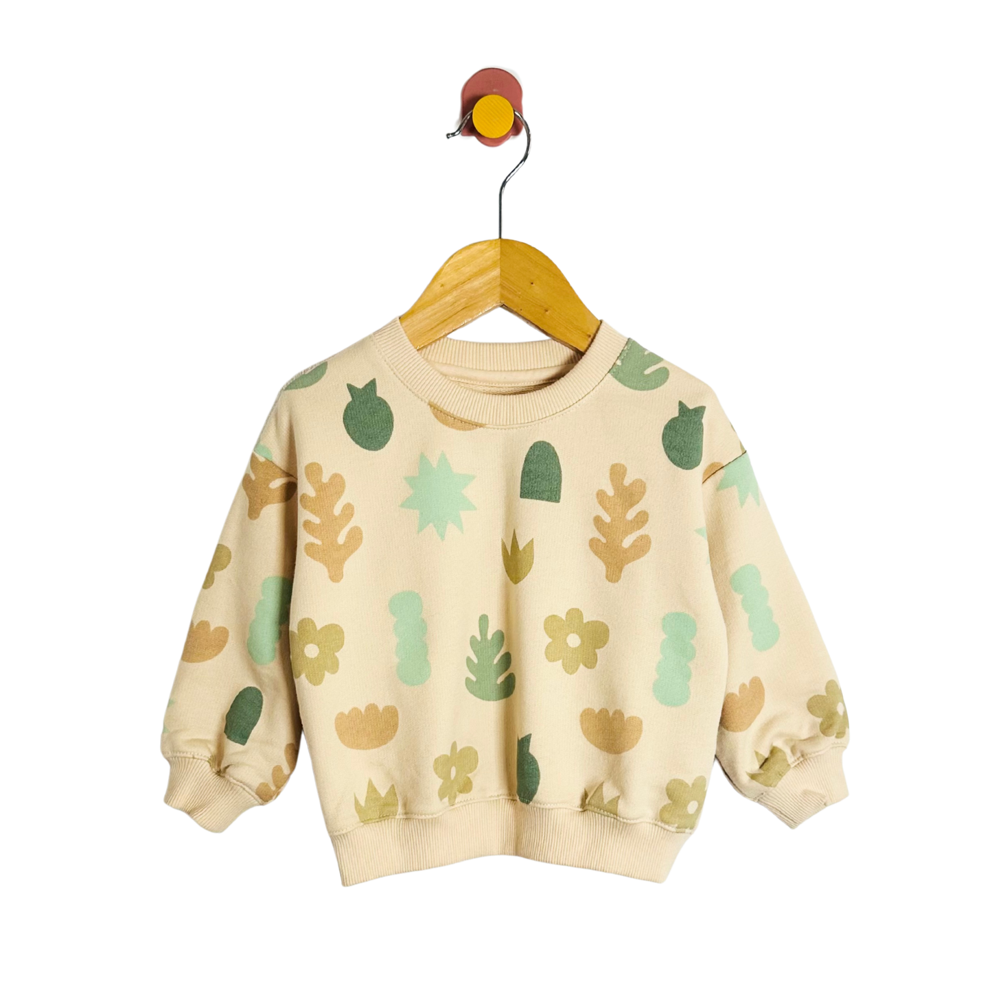 Wild Wawa Matisse Sweatshirt / 12-18M