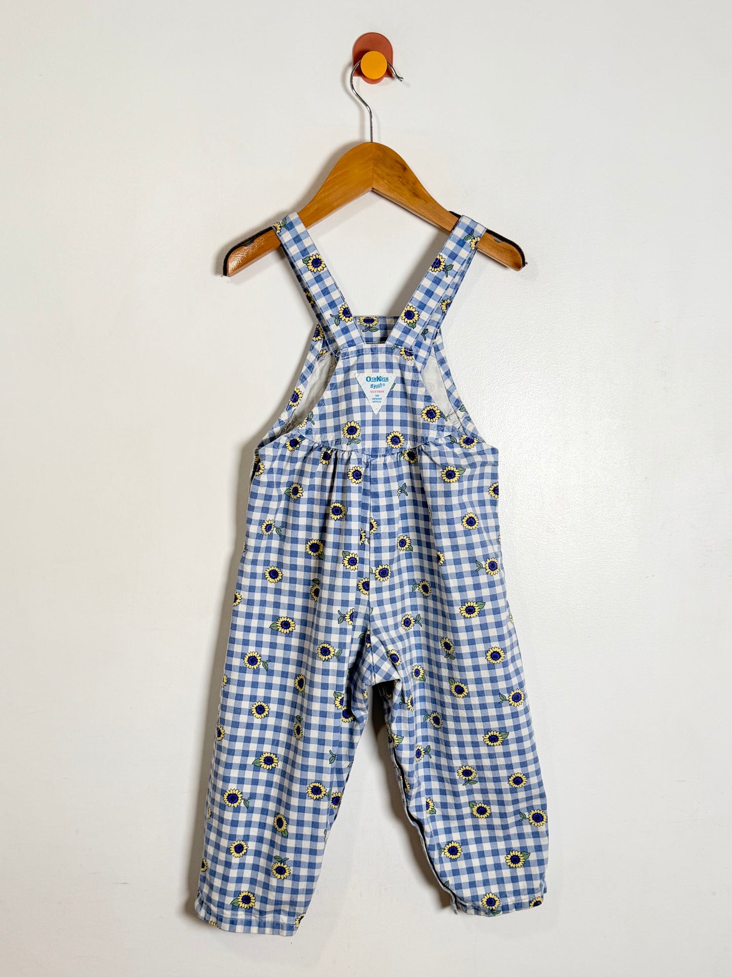 A baby's blue and white gingham overall romper with a black and yellow sunflower print, hanging on a wooden hanger against a plain white wall.