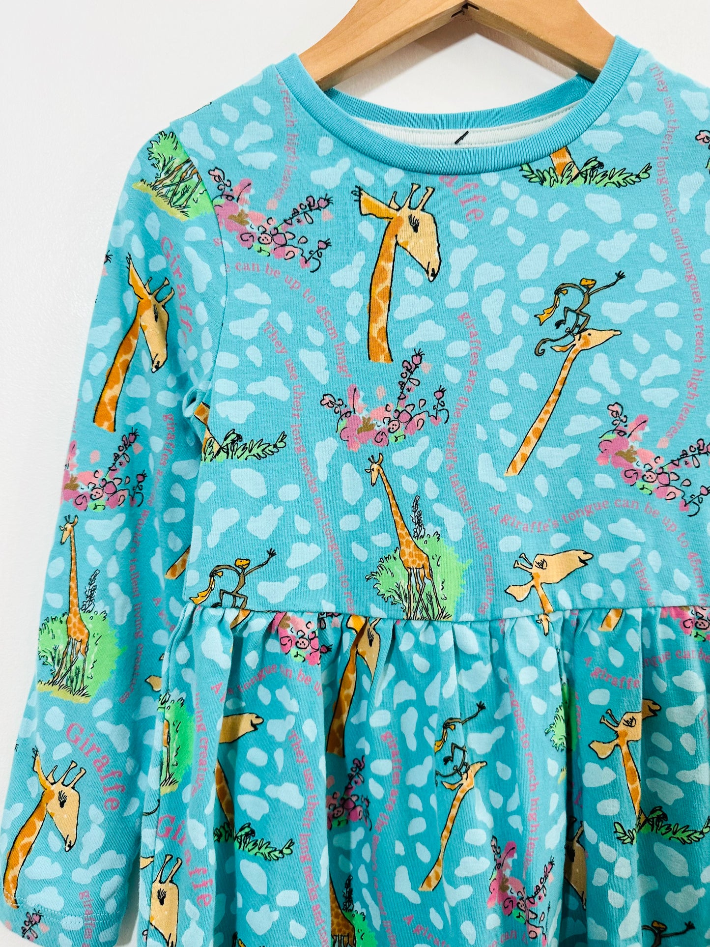 Roald Dahl for Natural History Museum x M&S The Giraffe and the Pelly and Me Dress / 3-4Y