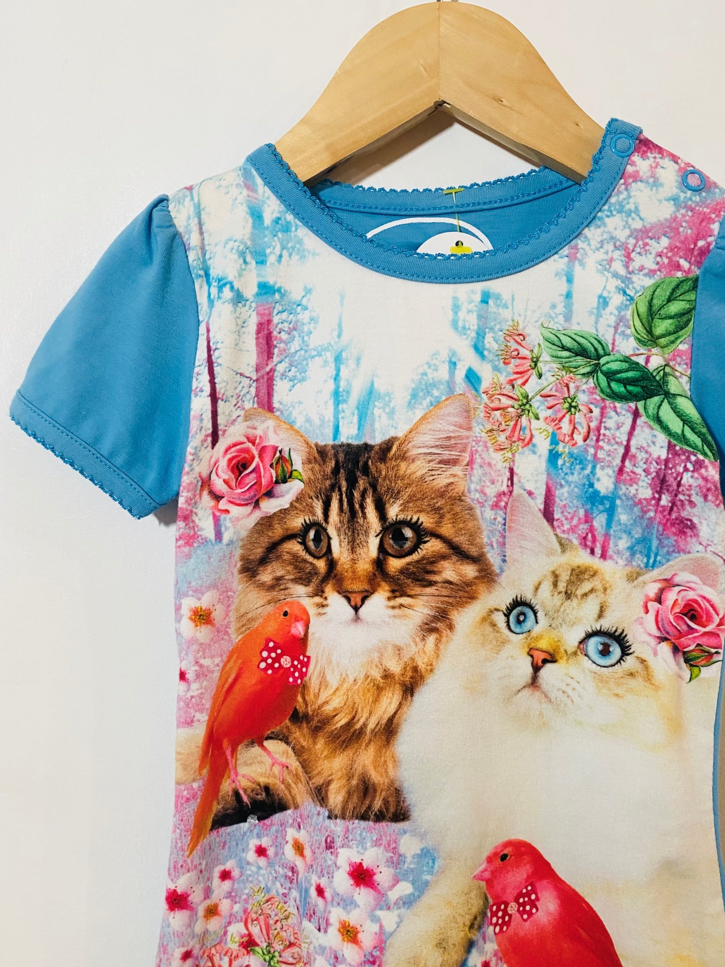 kitten dress / 18M