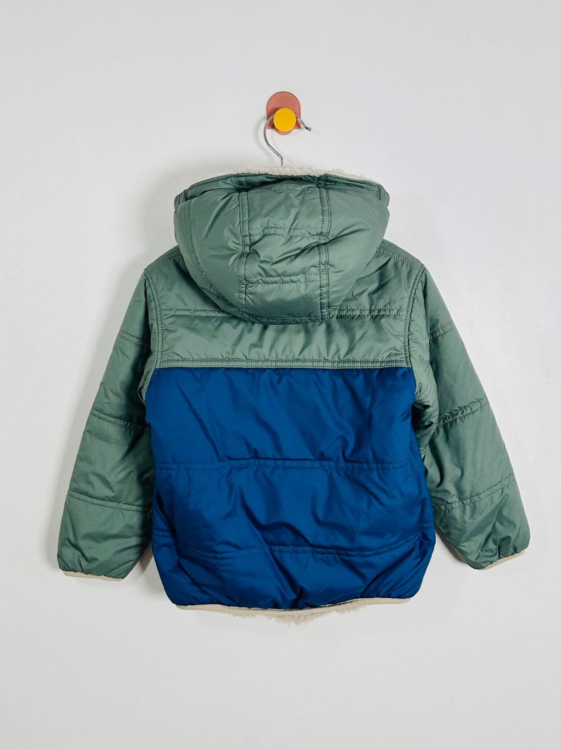 A children's puffer jacket shown from the back, hanging on a small hook against a plain light gray wall. The jacket has a sage green upper section and hood, with a royal blue lower section, and light beige fleece lining visible at the edges.