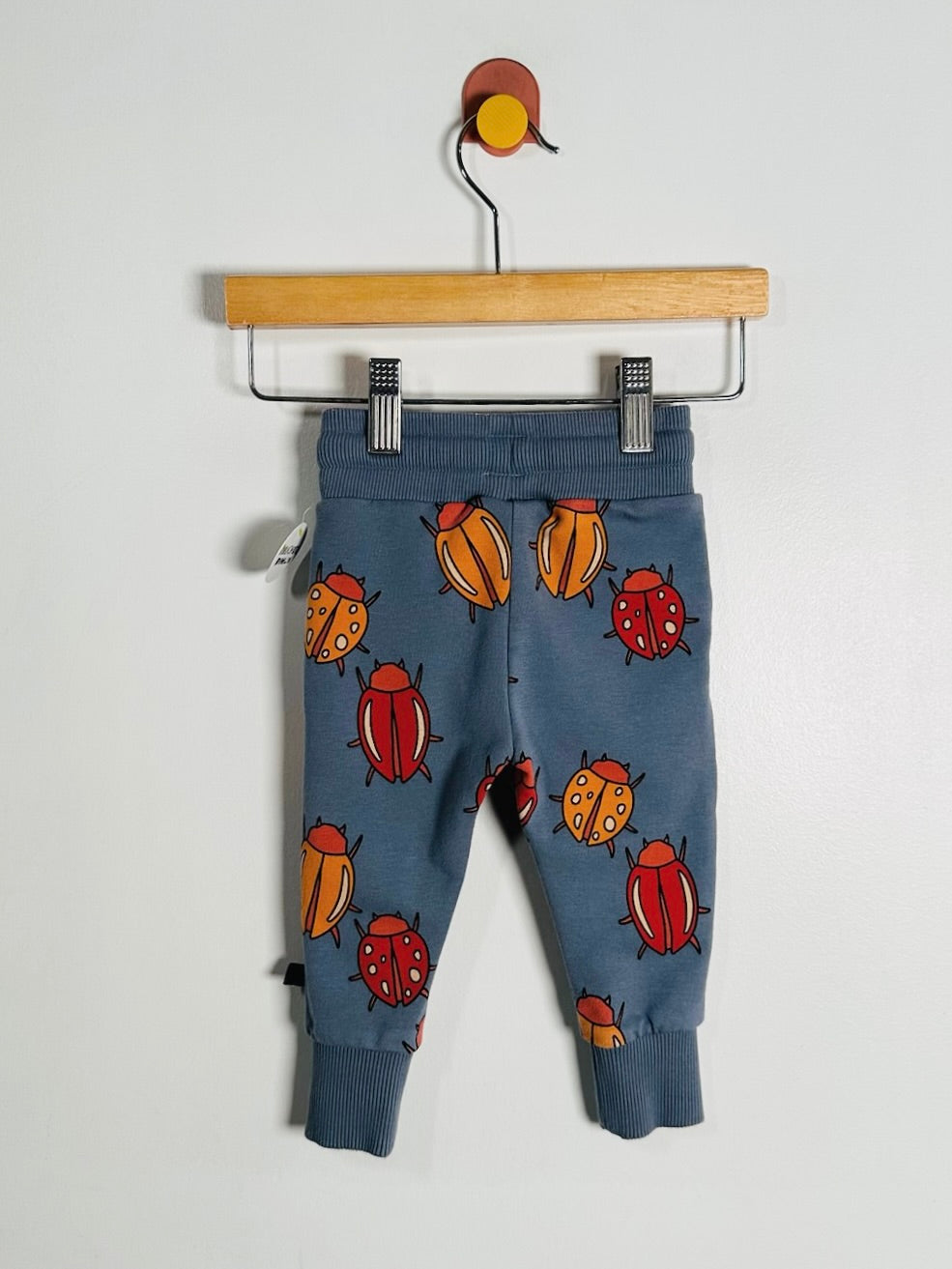 Blue baby jogger pants with a colorful ladybug print, hanging from a wooden hanger against a plain white wall.