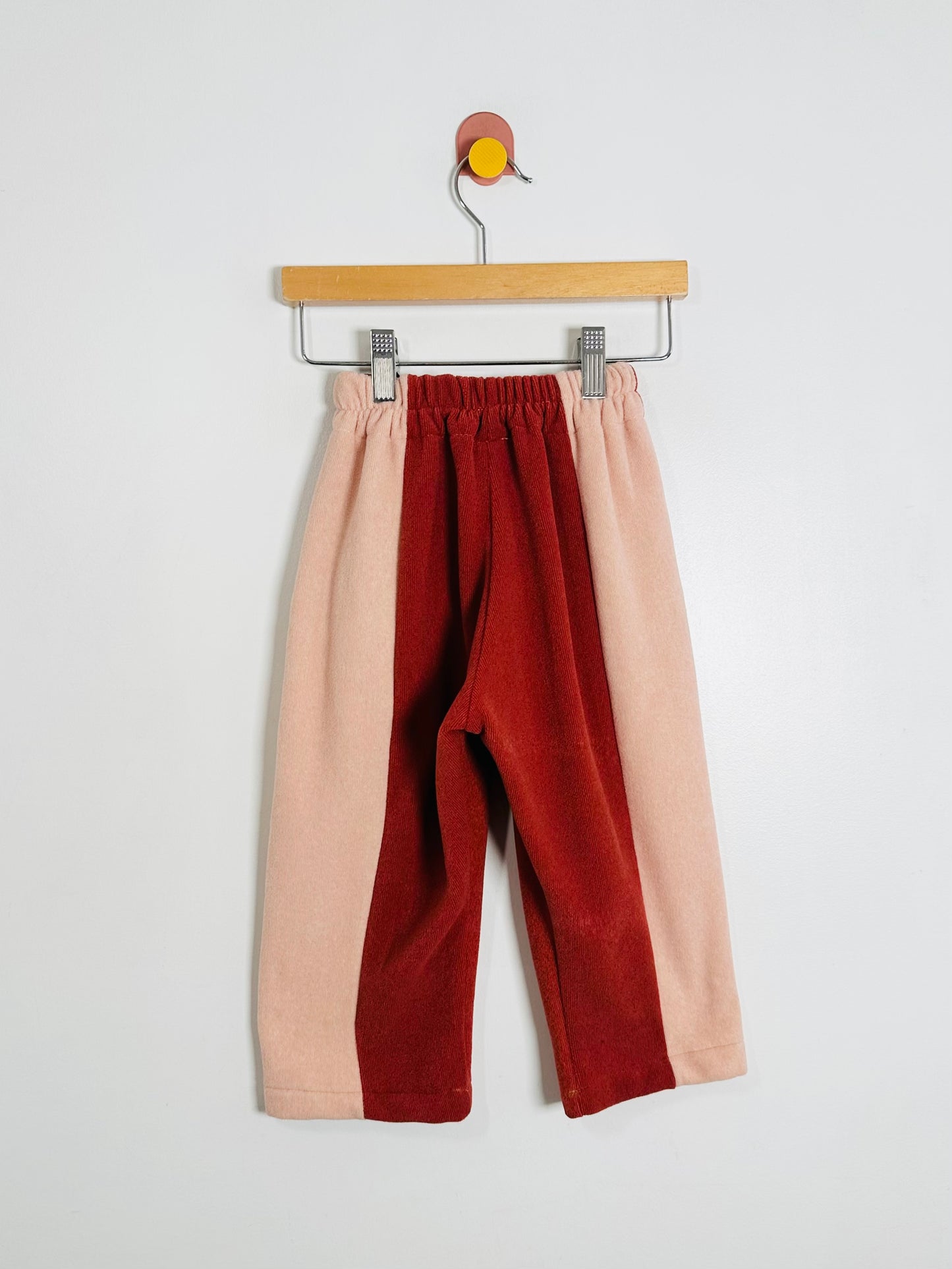 Color-blocked pants on a hanger against a white background