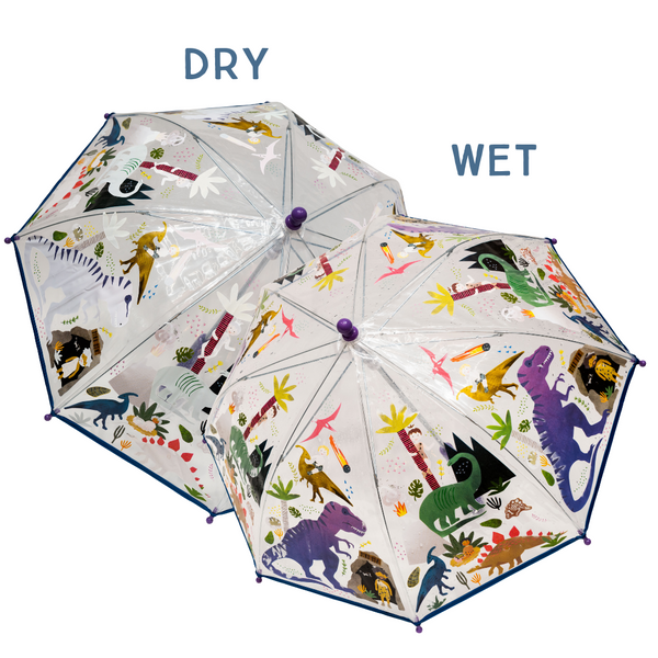 Two umbrellas with dinosaur pattern, one labeled 'Dry' and one labeled 'Wet', on a white background.