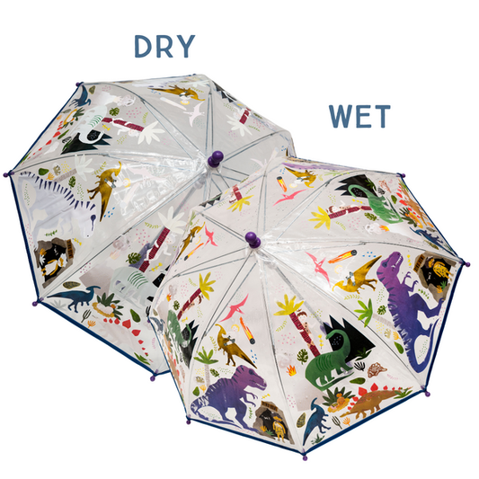 Two umbrellas with dinosaur pattern, one labeled 'Dry' and one labeled 'Wet', on a white background.