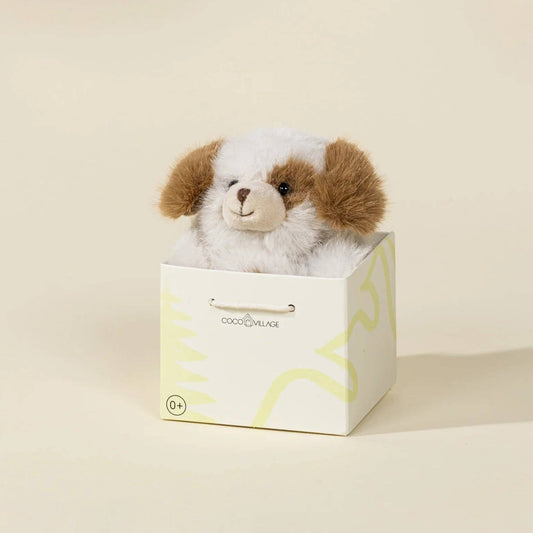 Stuffed dog toy in a white box with a yellow label on a beige background