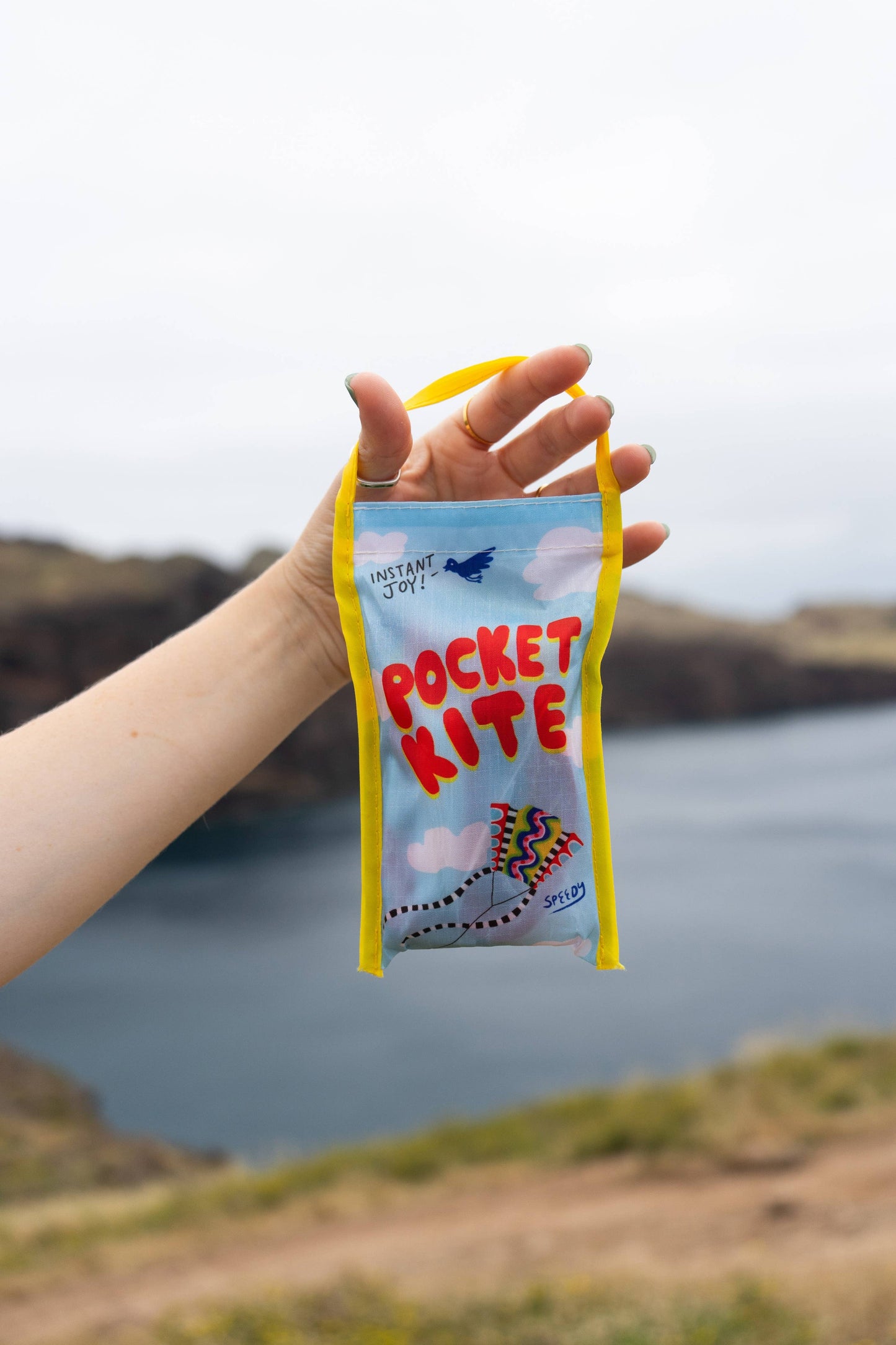 Hand holding a 'Pocket Kite' package with a scenic background of water and mountains.