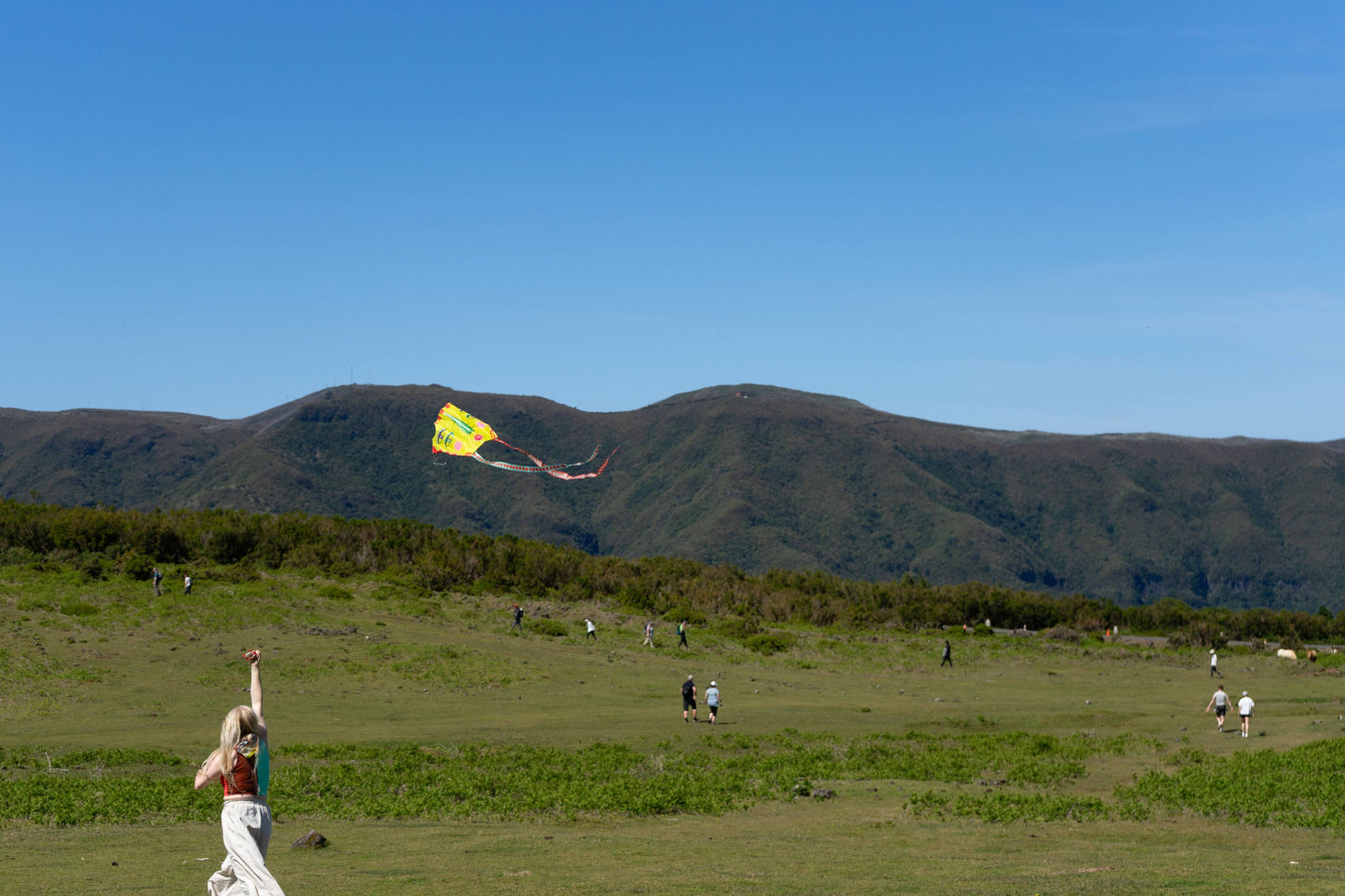 Person flying a kite in a grassy field with mountains in the background
