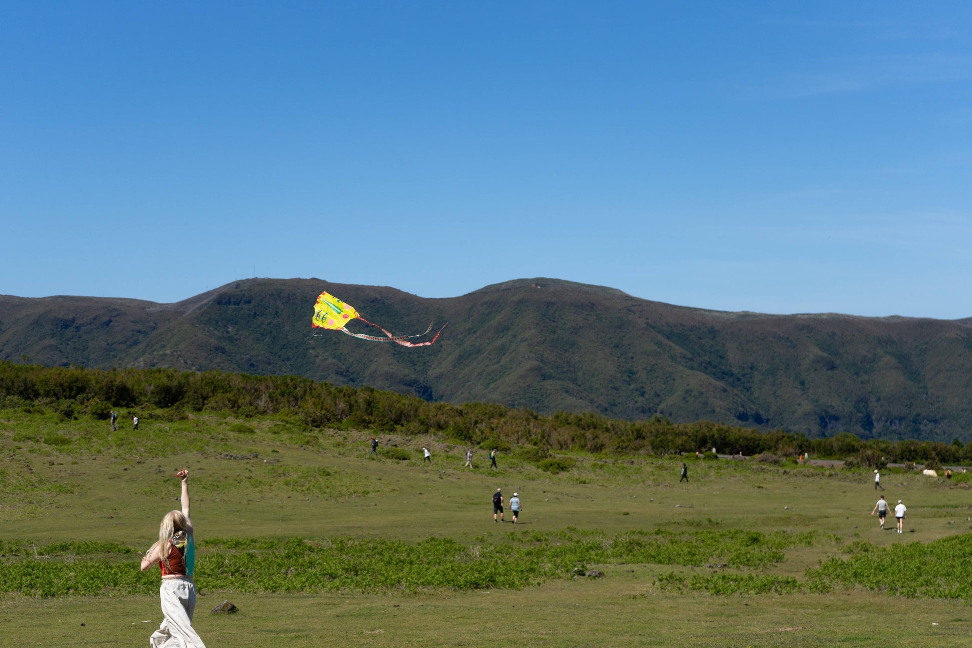 Person flying a kite in a grassy field with mountains in the background