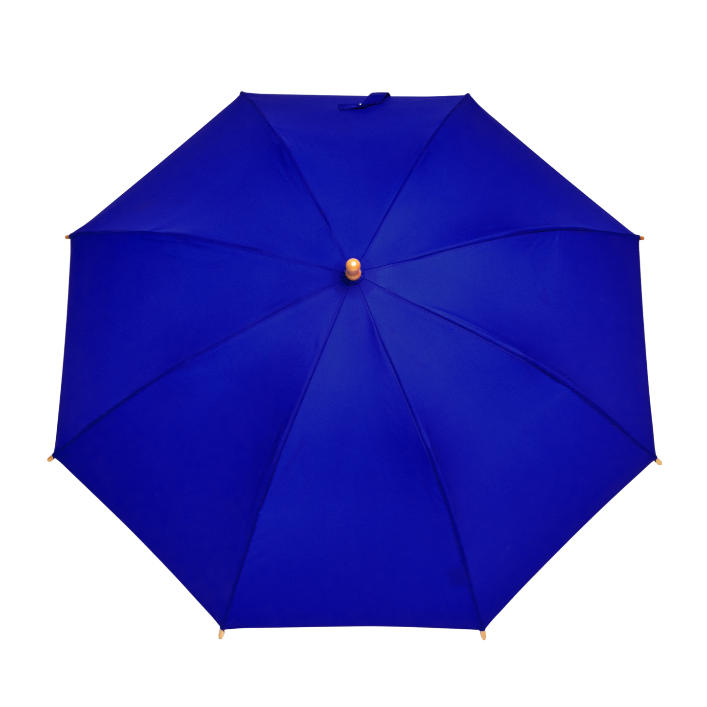 Blue umbrella on a white background