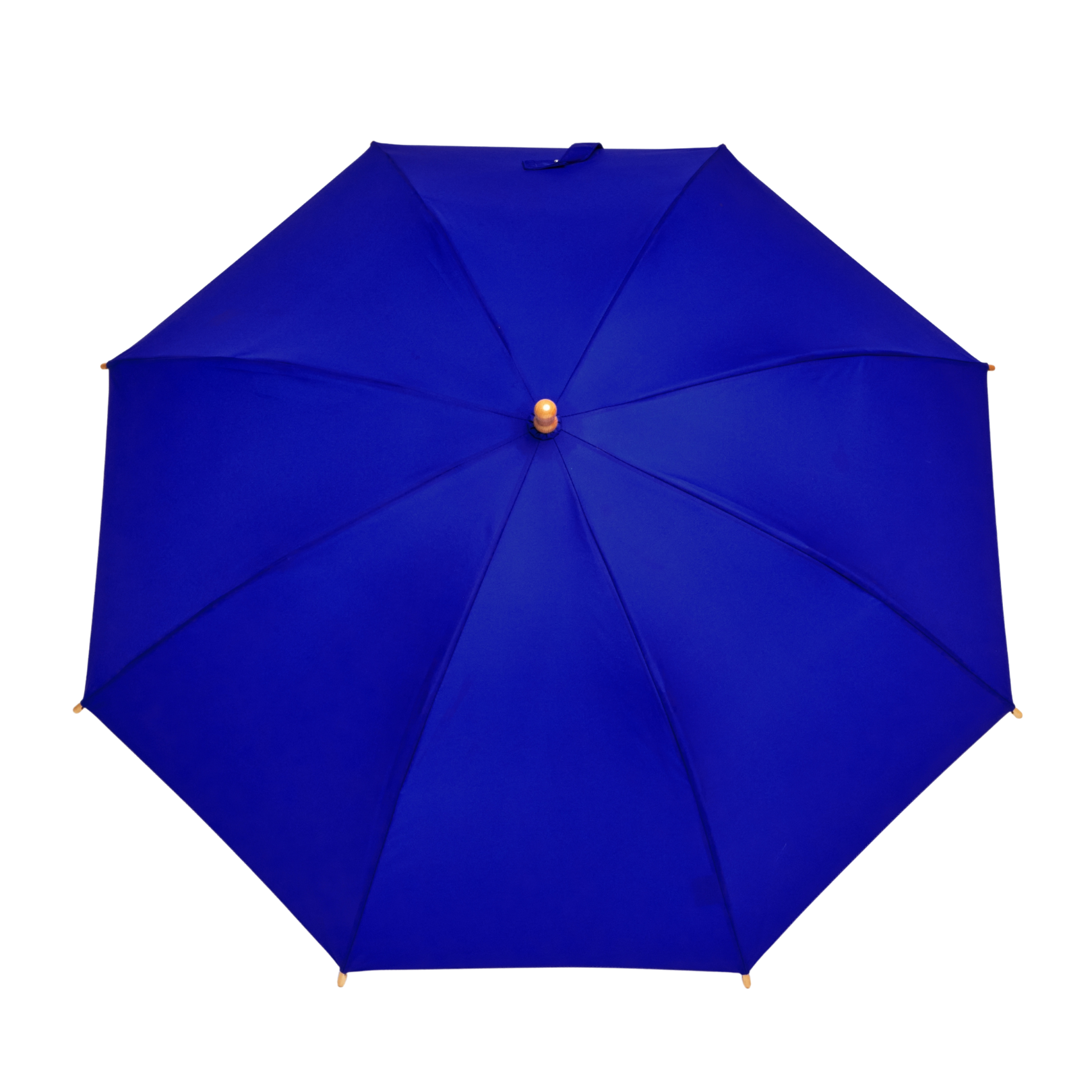 Blue umbrella on a white background