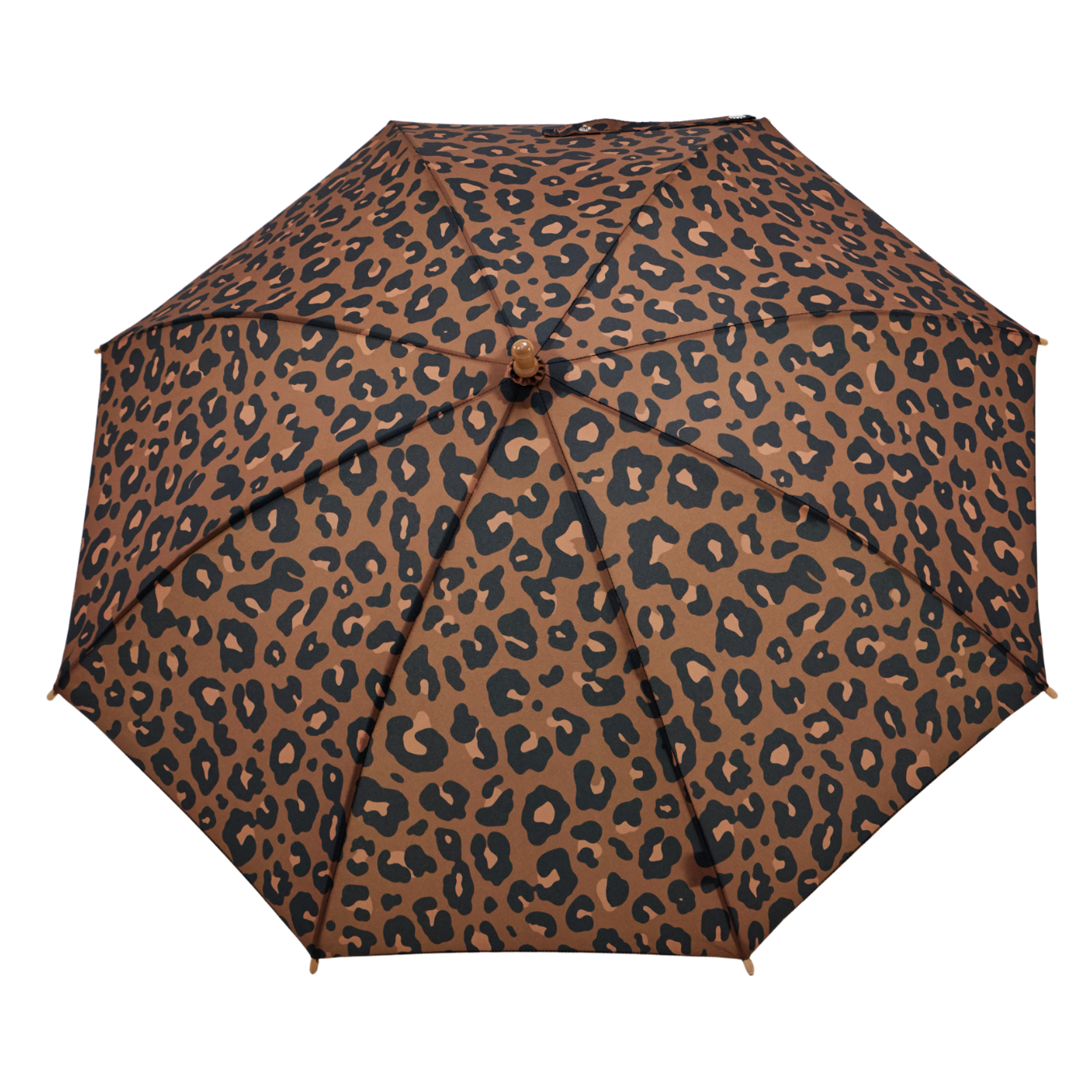 Leopard print umbrella on a white background