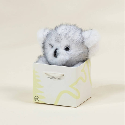 Plush bear toy in a decorative box on a light background