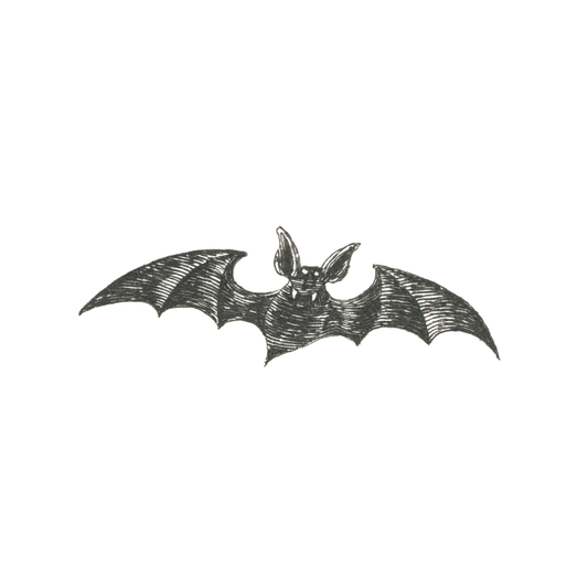 Tattly Vampire Bat Tattoo Pair by Edward Gorey