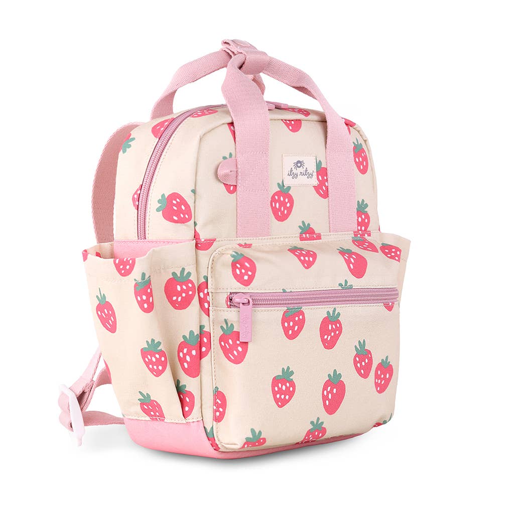 Itzy Ritzy toddler Backpack