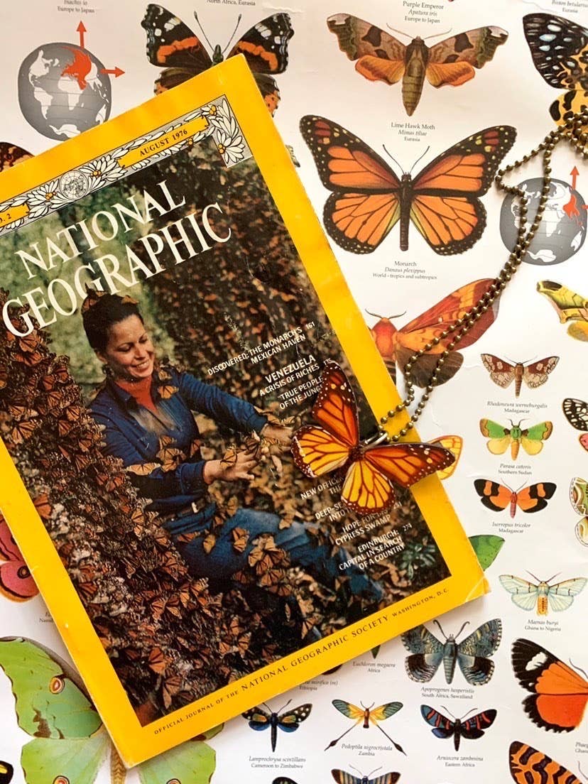 National Geographic magazine cover with a person surrounded by butterflies on a white background
