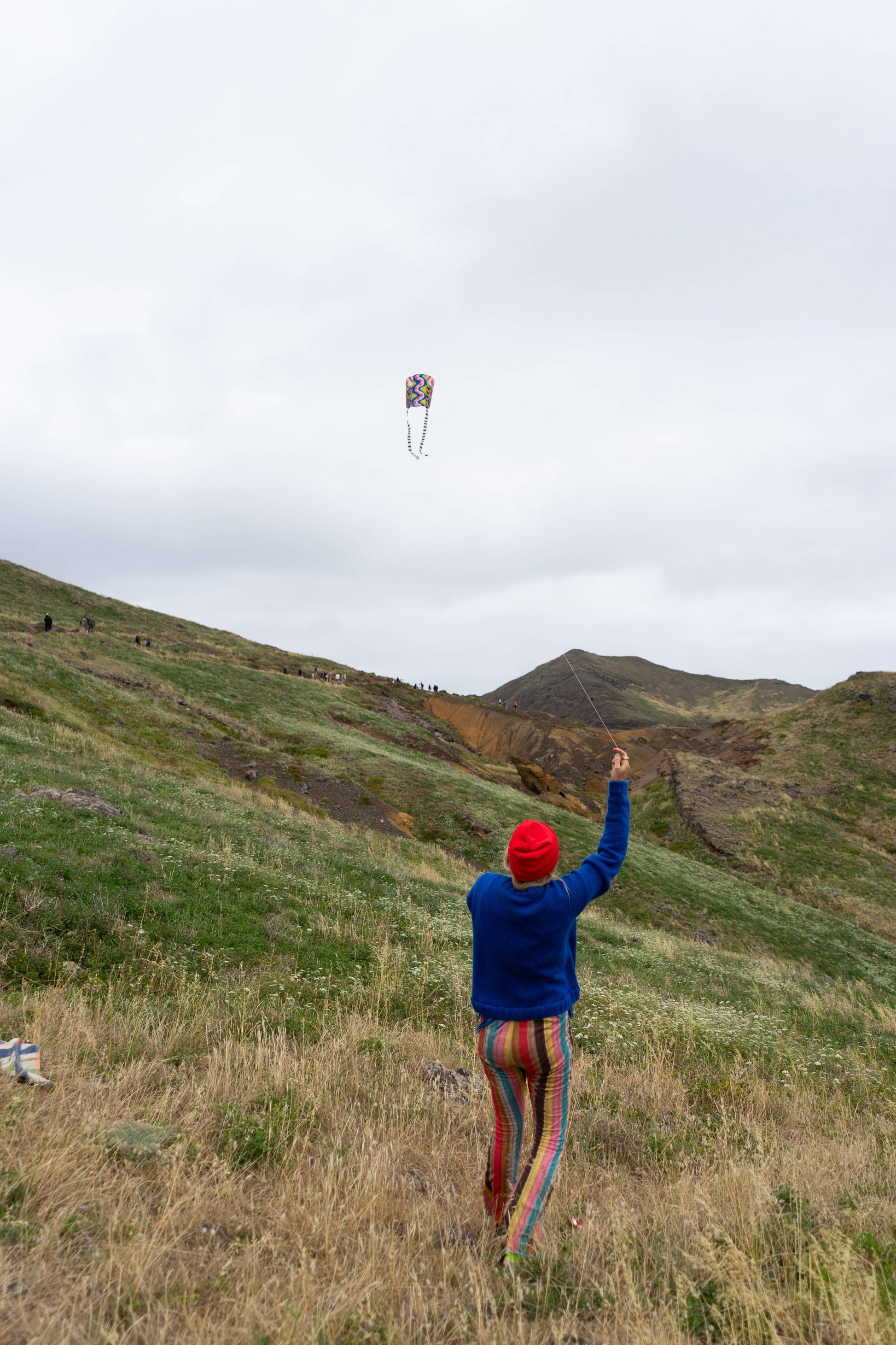 Person flying a kite on a grassy hill with mountains in the background