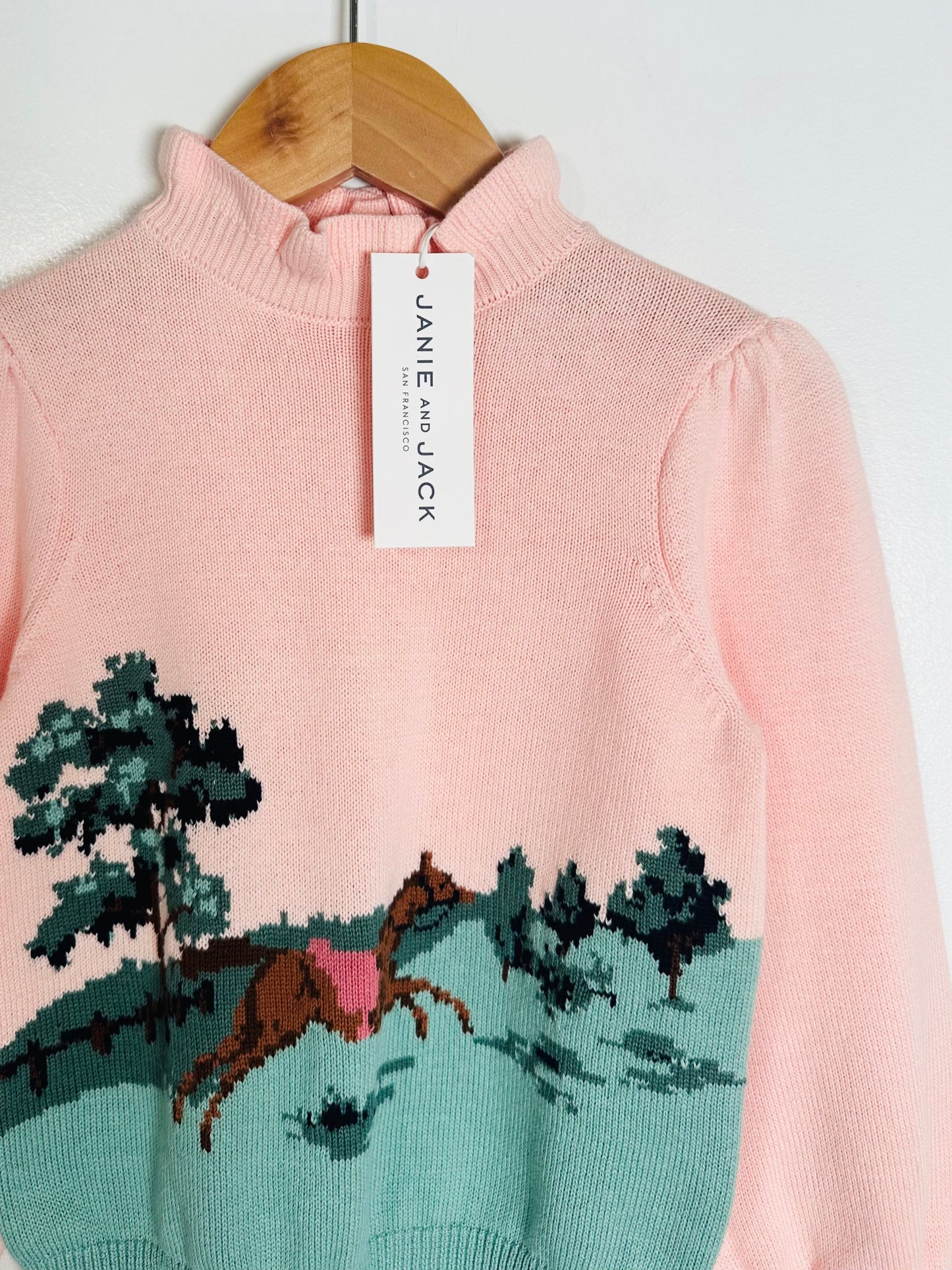 Pink sweater with horse and landscape design on a hanger, Janie and Jack brand tag visible.