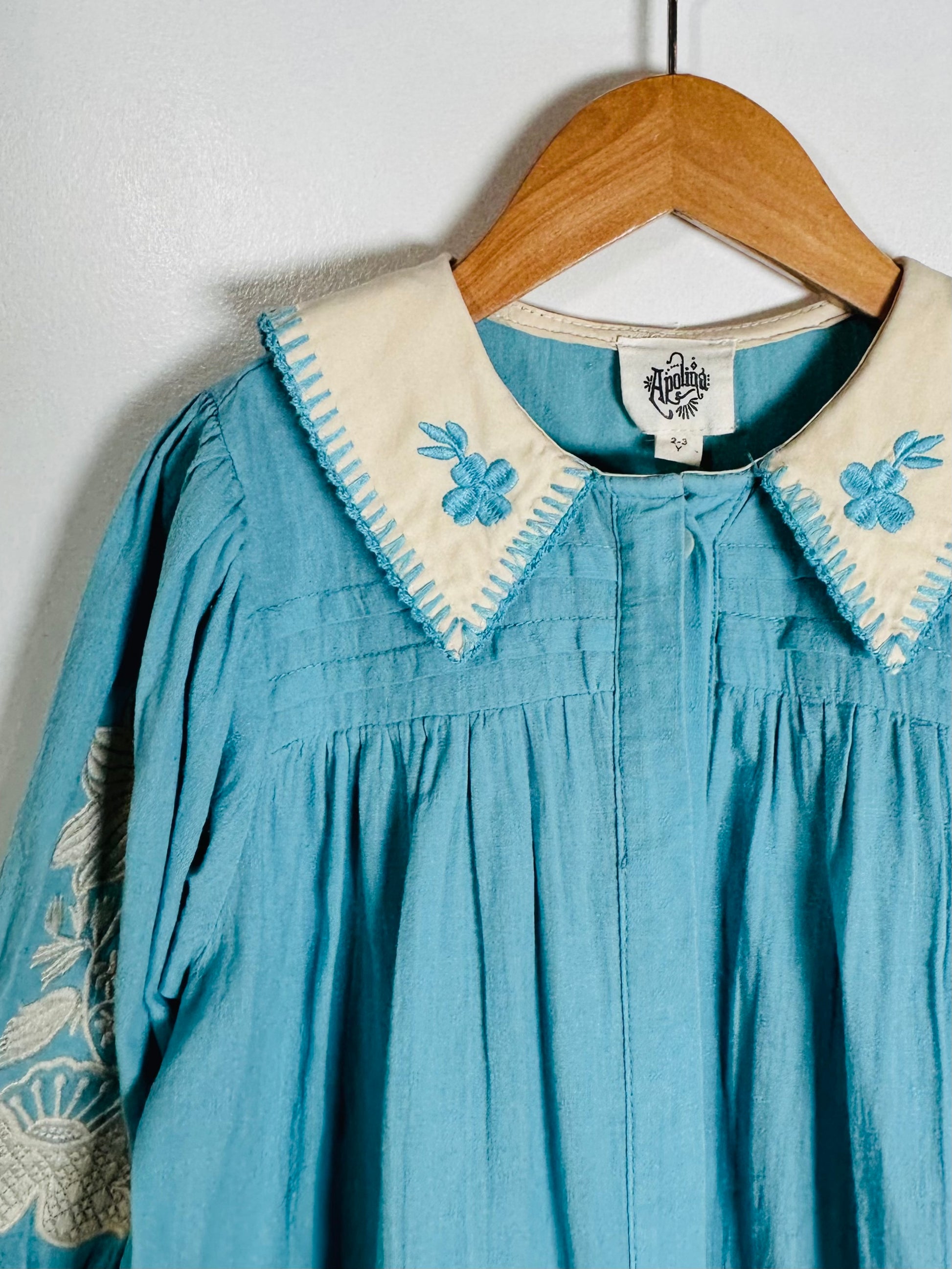 A light blue long-sleeve blouse with a cream-colored collar featuring blue floral embroidery and white border stitching, hanging on a wooden hanger against a light gray wall.