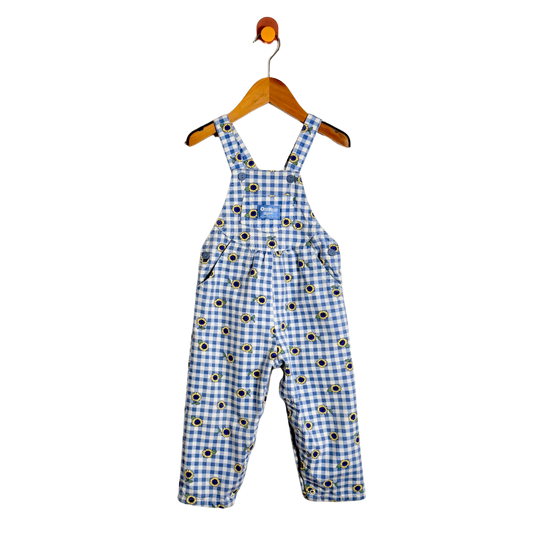 A baby's blue and white gingham overall romper with a black and yellow flower print pattern, hanging on a wooden hanger against a white background.