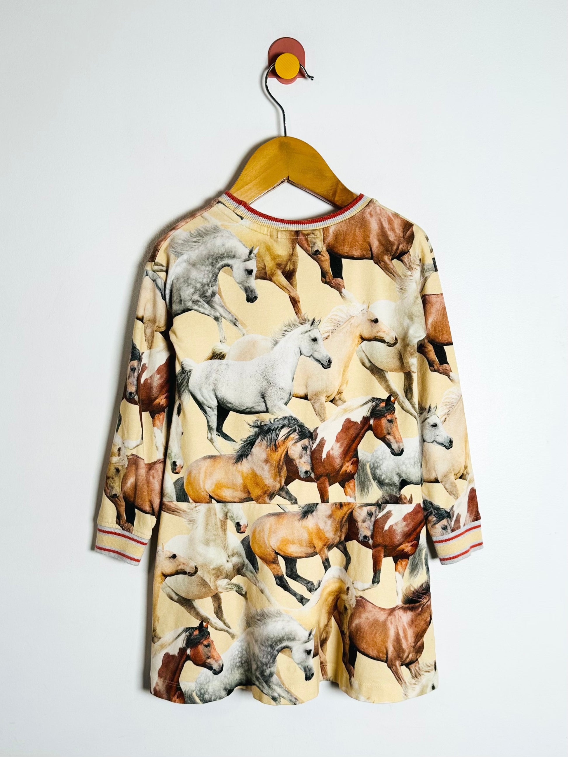 Dress with horse pattern on a hanger against a white background