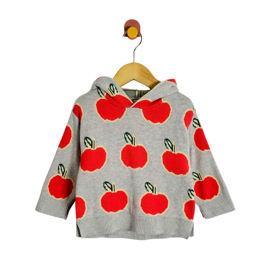 A light gray knit hoodie with a red apple print, hanging on a wooden hanger with a small yellow bird ornament against a plain white background.
