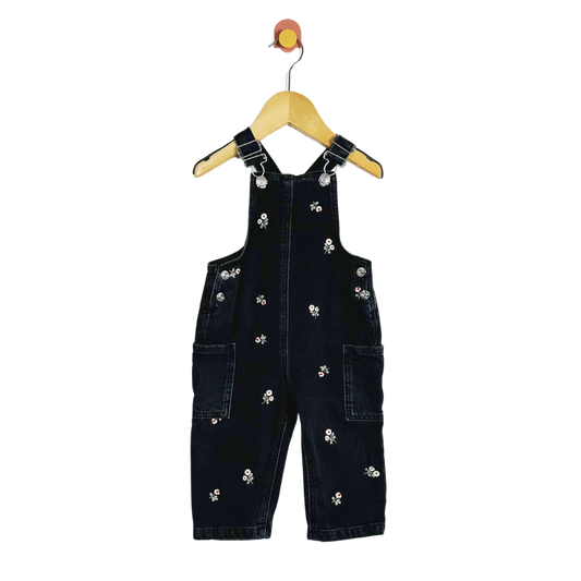 Zara Floral Embroidered Overalls / 9-12M