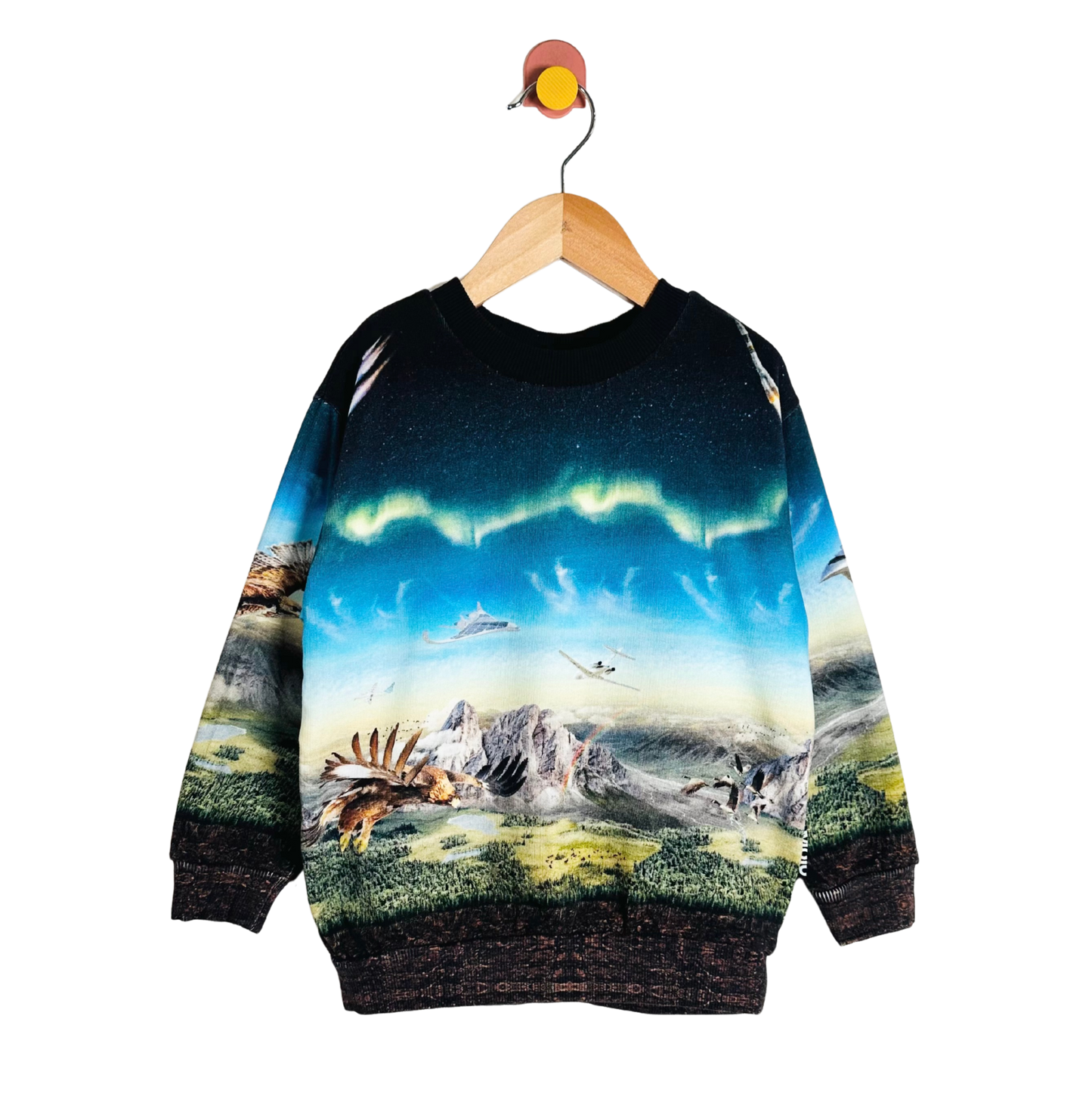 Children's sweater with nature-themed design on a hanger