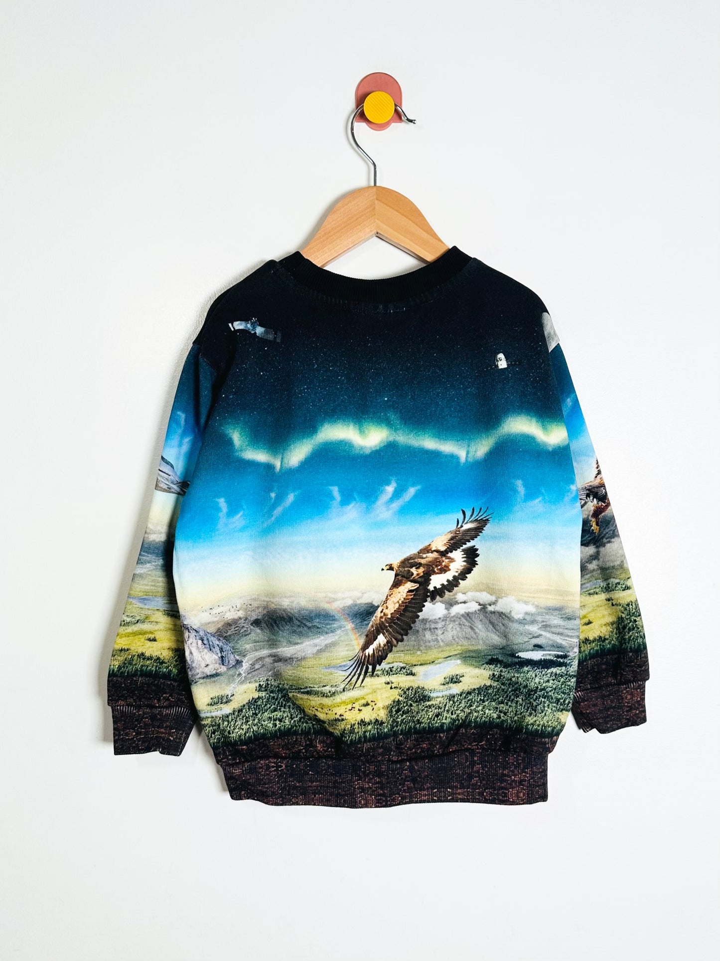 Sweatshirt with nature-themed design featuring a bird and landscape on a hanger against a white background