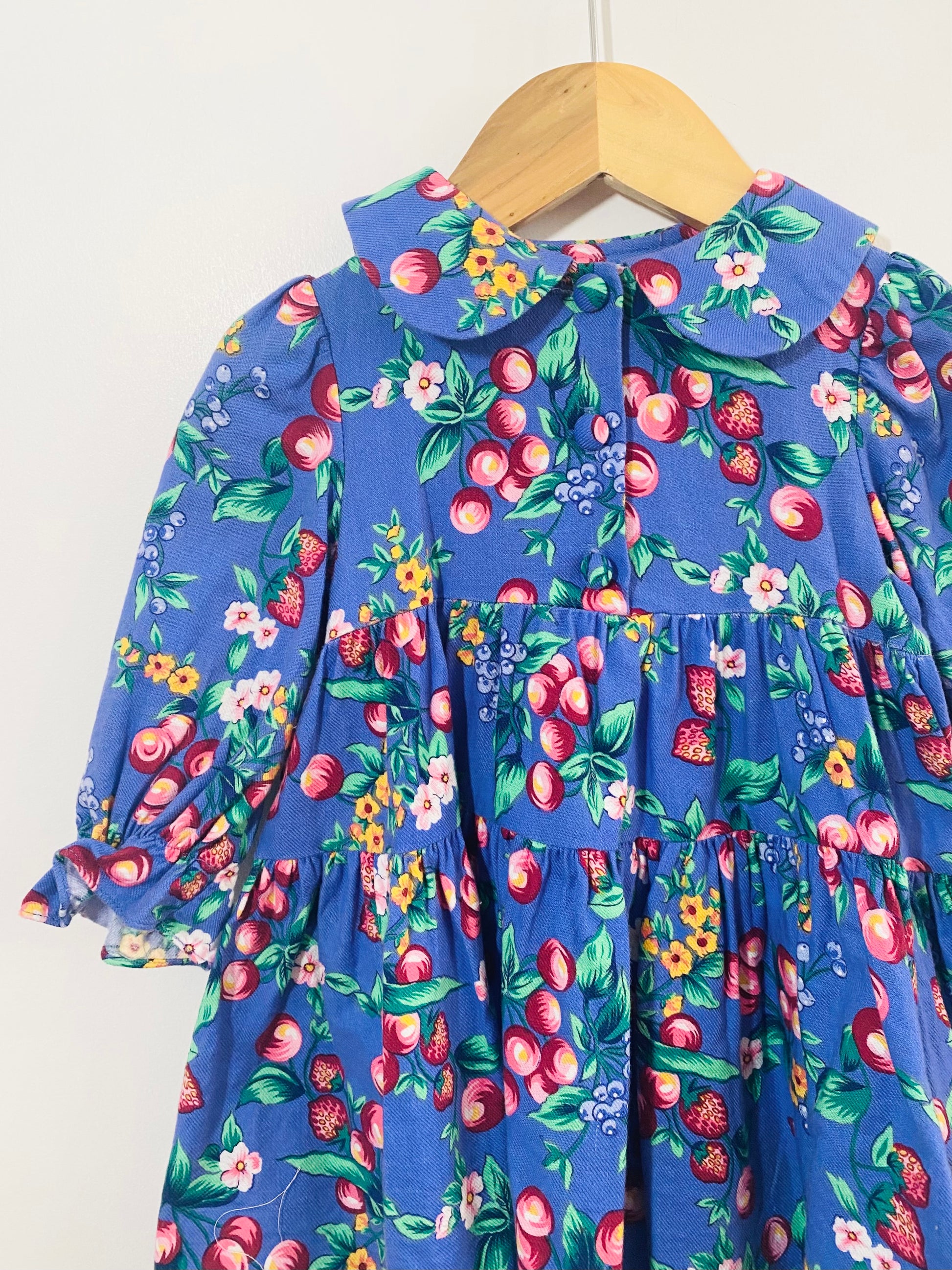 Vintage Berry Print Dress / 18M