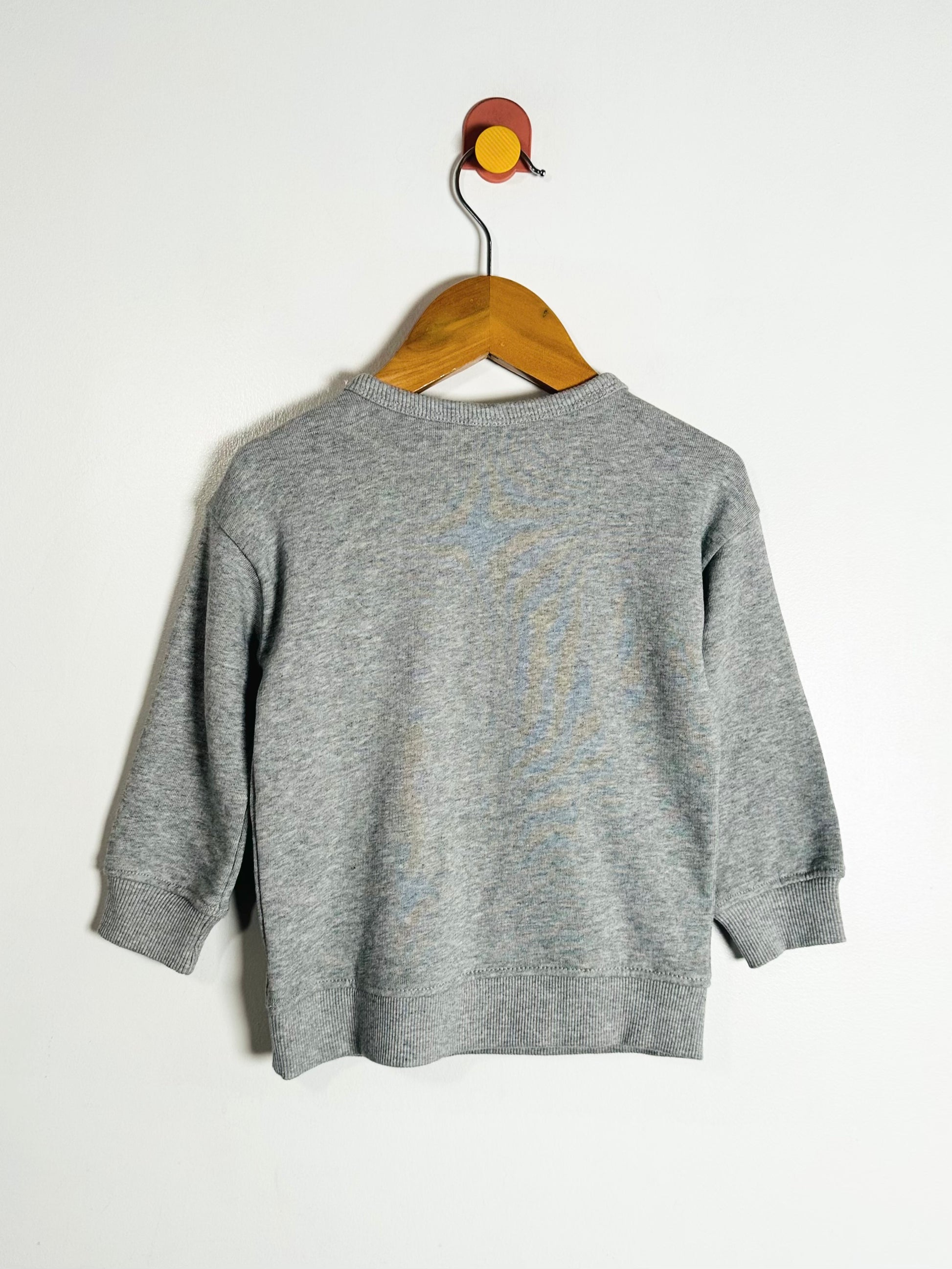 Gray sweater on a wooden hanger against a white background