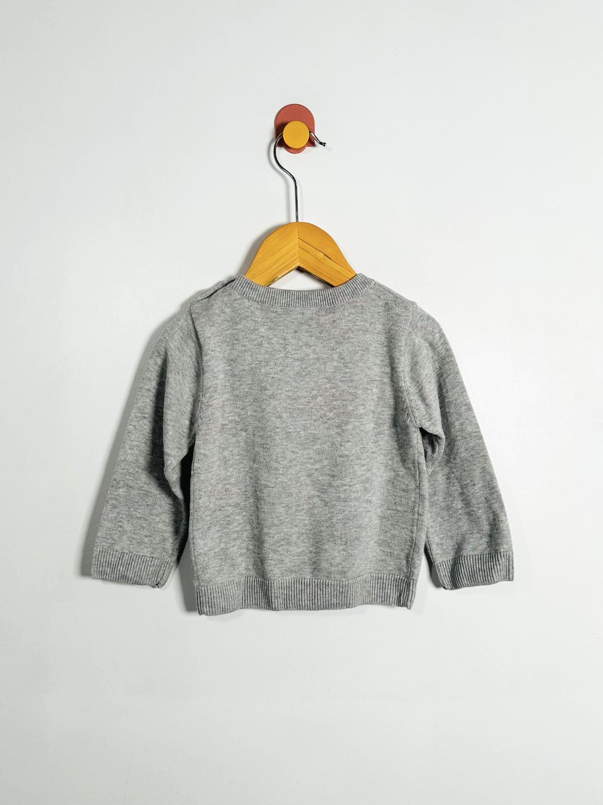 Jacadi Floating Ducks Sweater / 18M