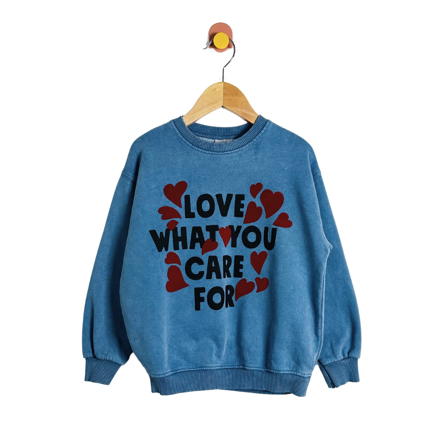 Zara Care Sweatshirt / 4-5Y