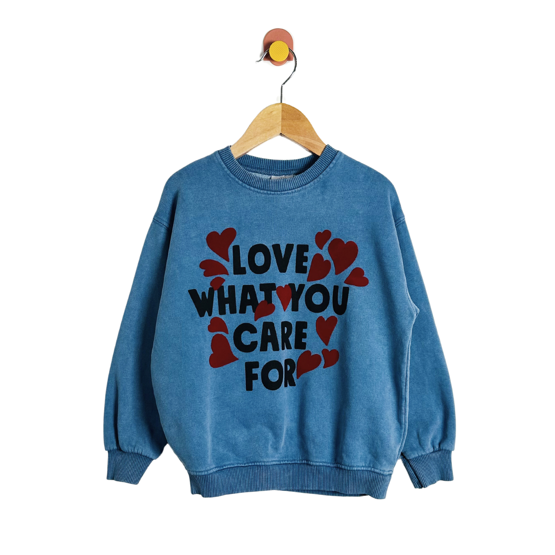 Zara Care Sweatshirt / 4-5Y