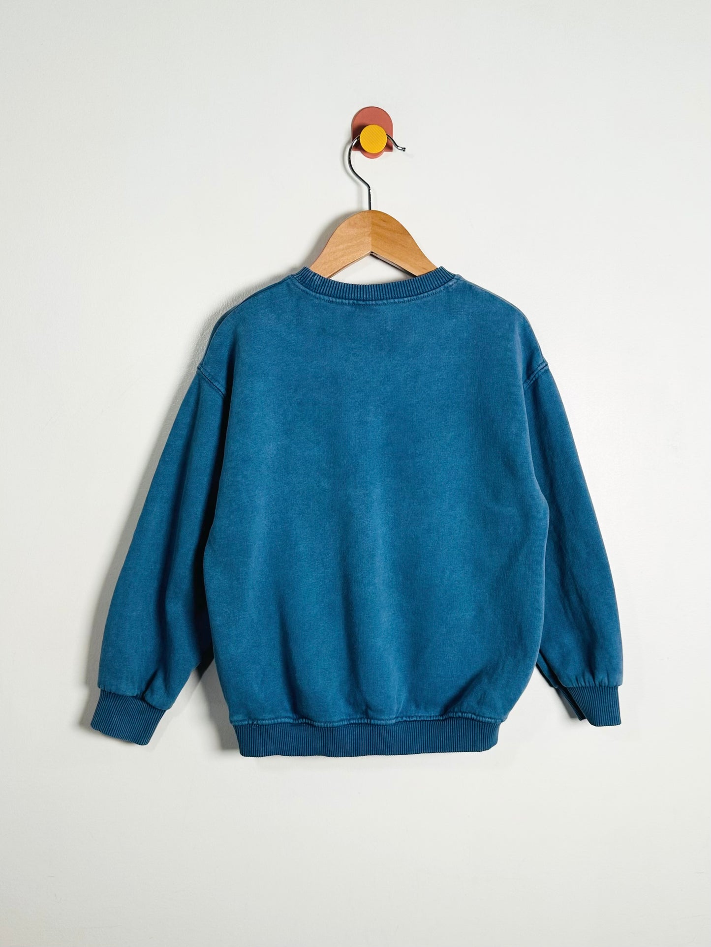 Zara Care Sweatshirt / 4-5Y