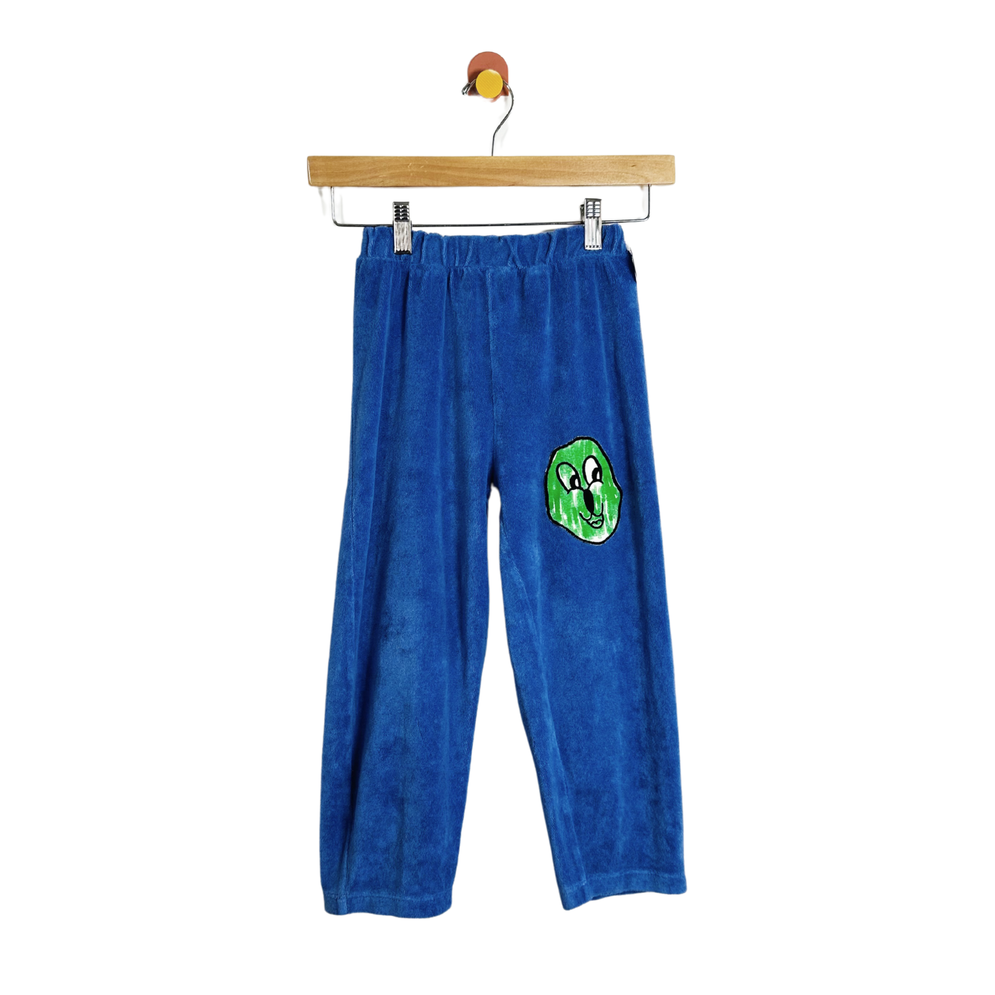 Fresh Dinosaurs Terry Pants / 9Y