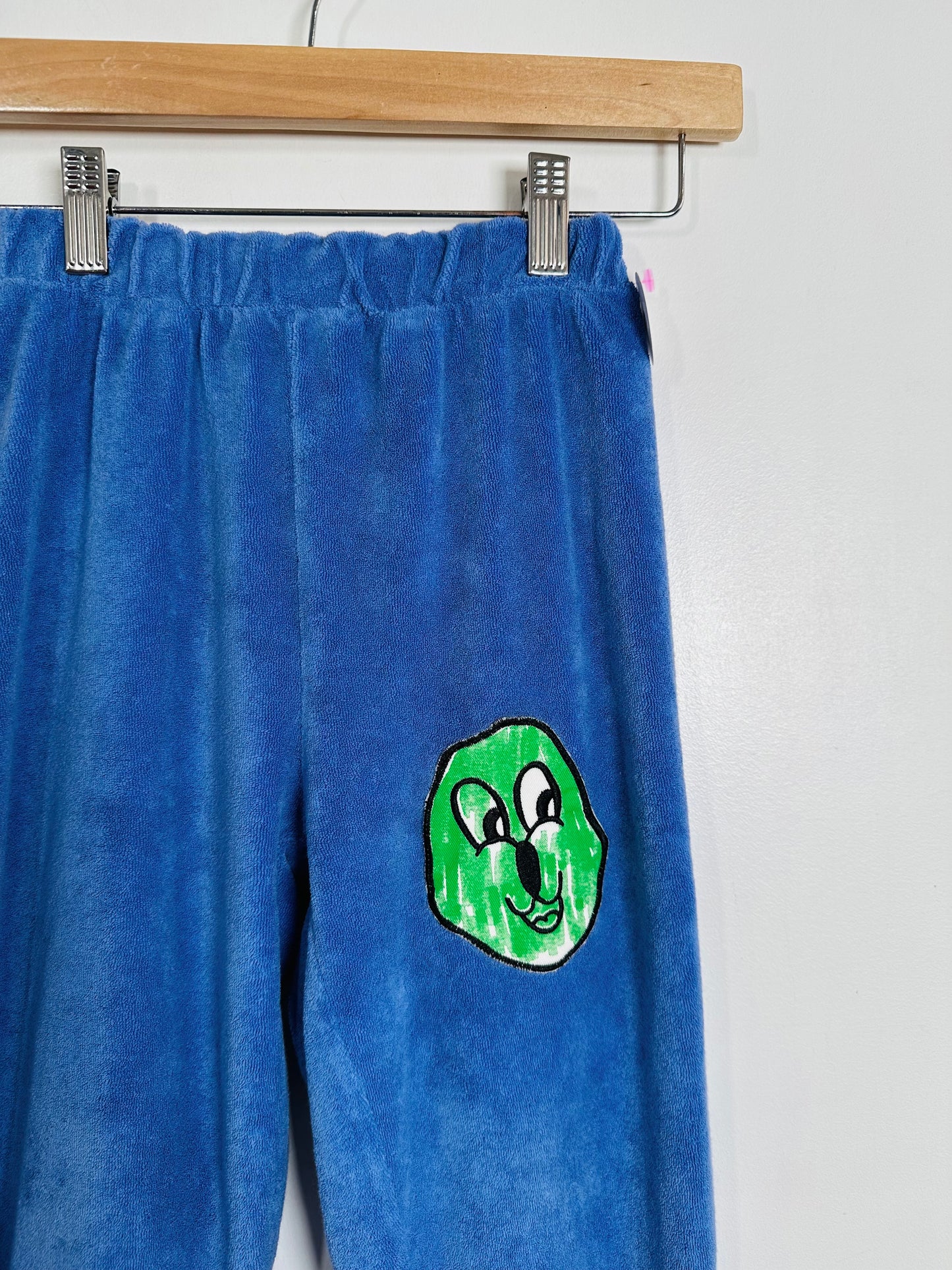 Fresh Dinosaurs Terry Pants / 9Y