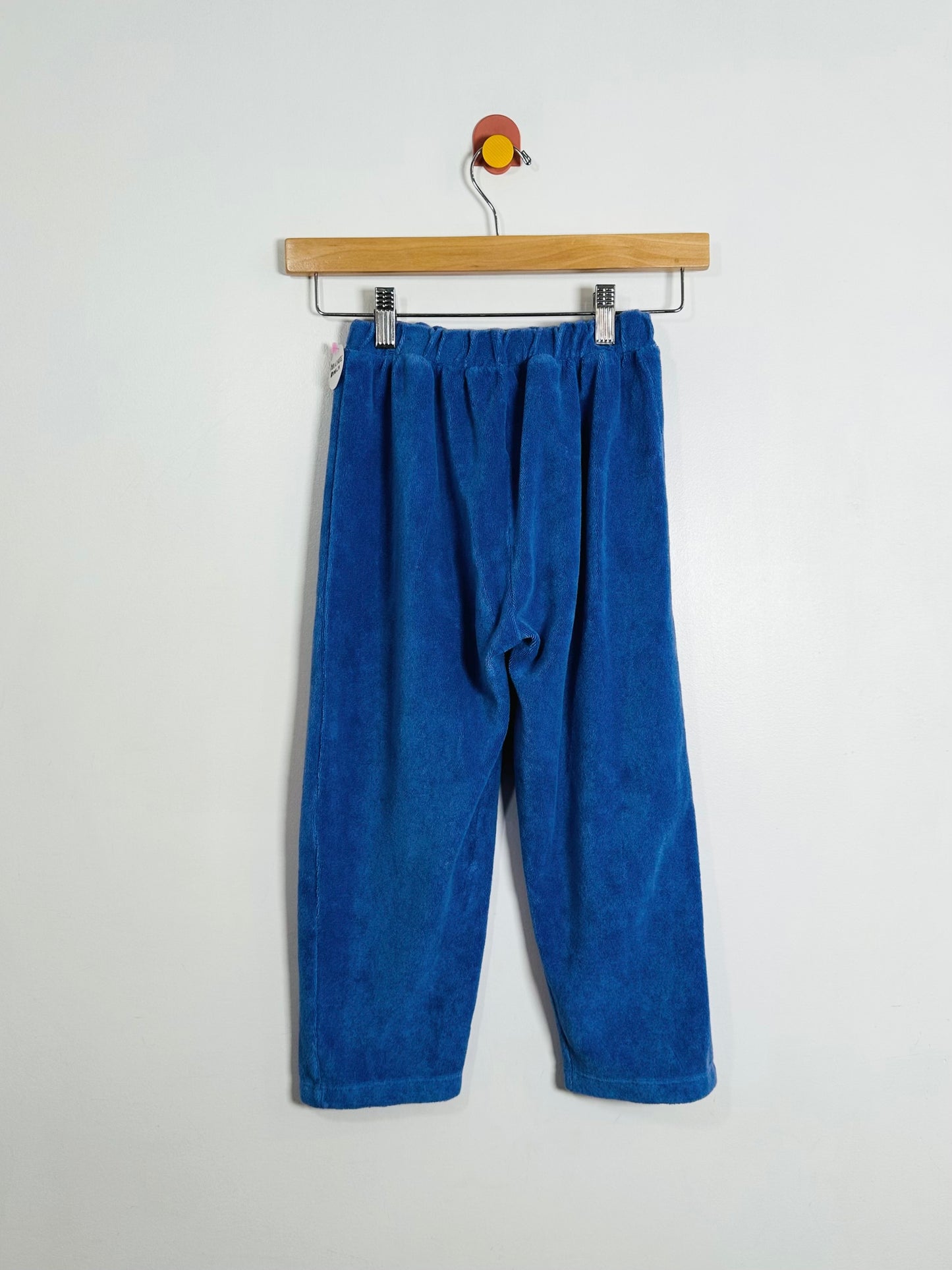 Fresh Dinosaurs Terry Pants / 9Y