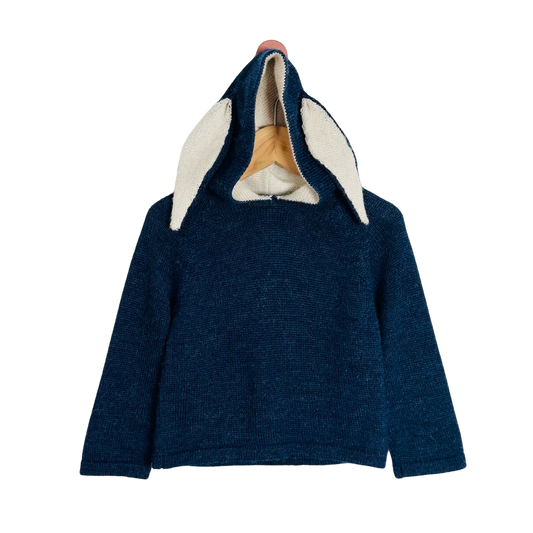 Blue hoodie with bunny ears on a white background
