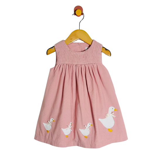 Pink dress with duck designs on a hanger against a white background