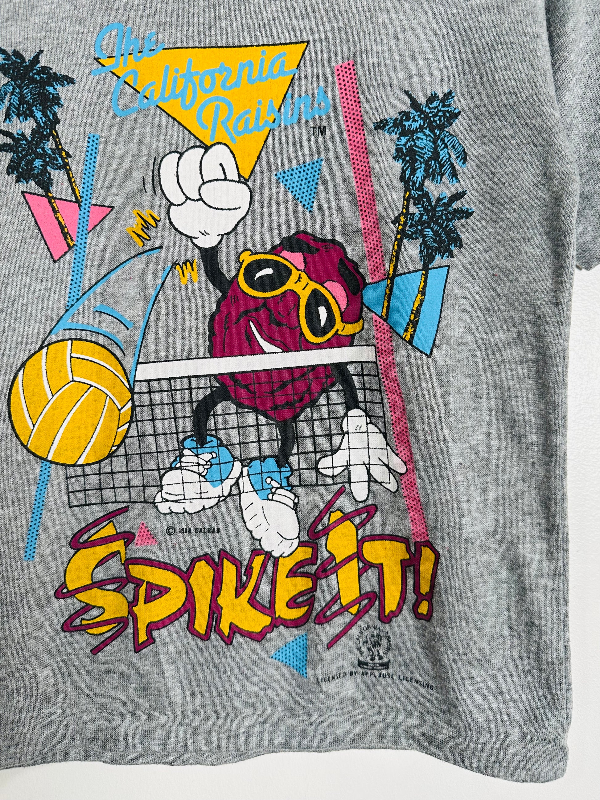 Gray sweatshirt with colorful graphic design featuring a character and text on a white background