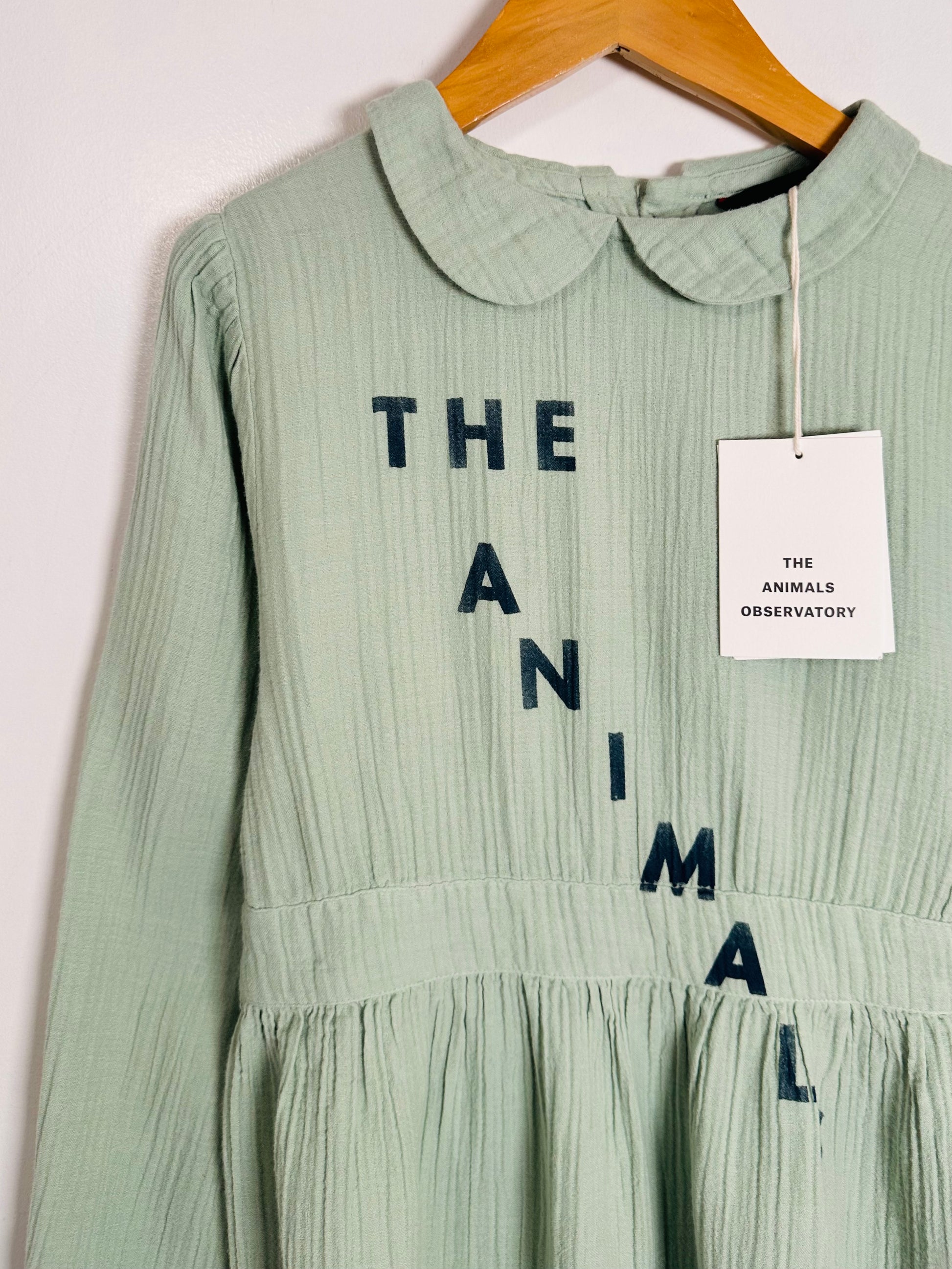 Green dress with text on a hanger against a white background