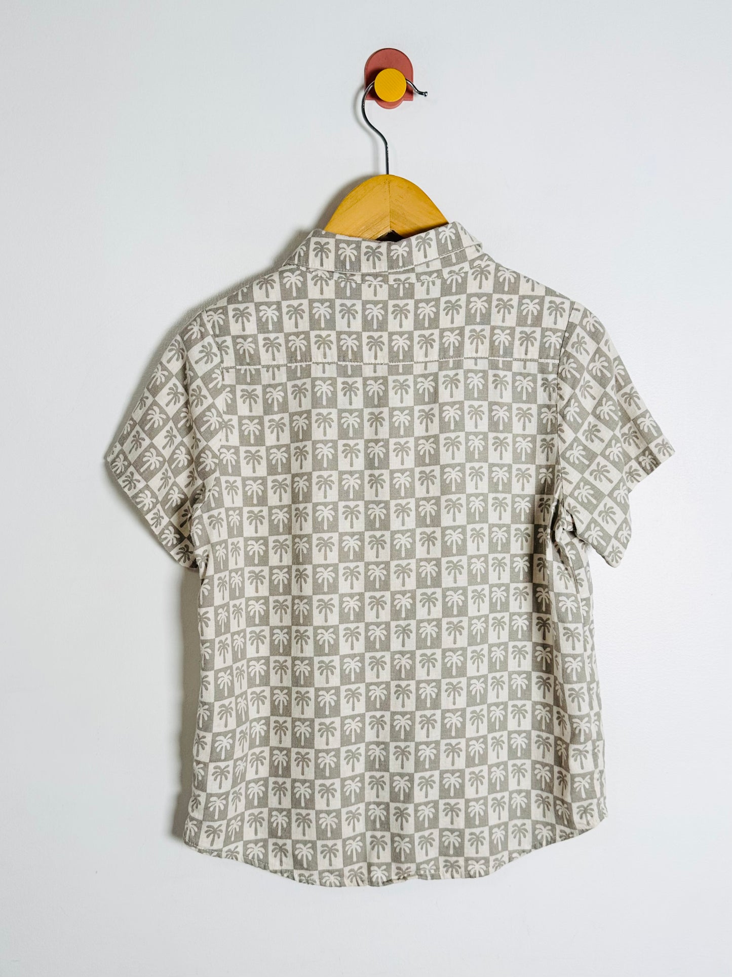 Short-sleeve shirt with a pattern on a hanger against a white background