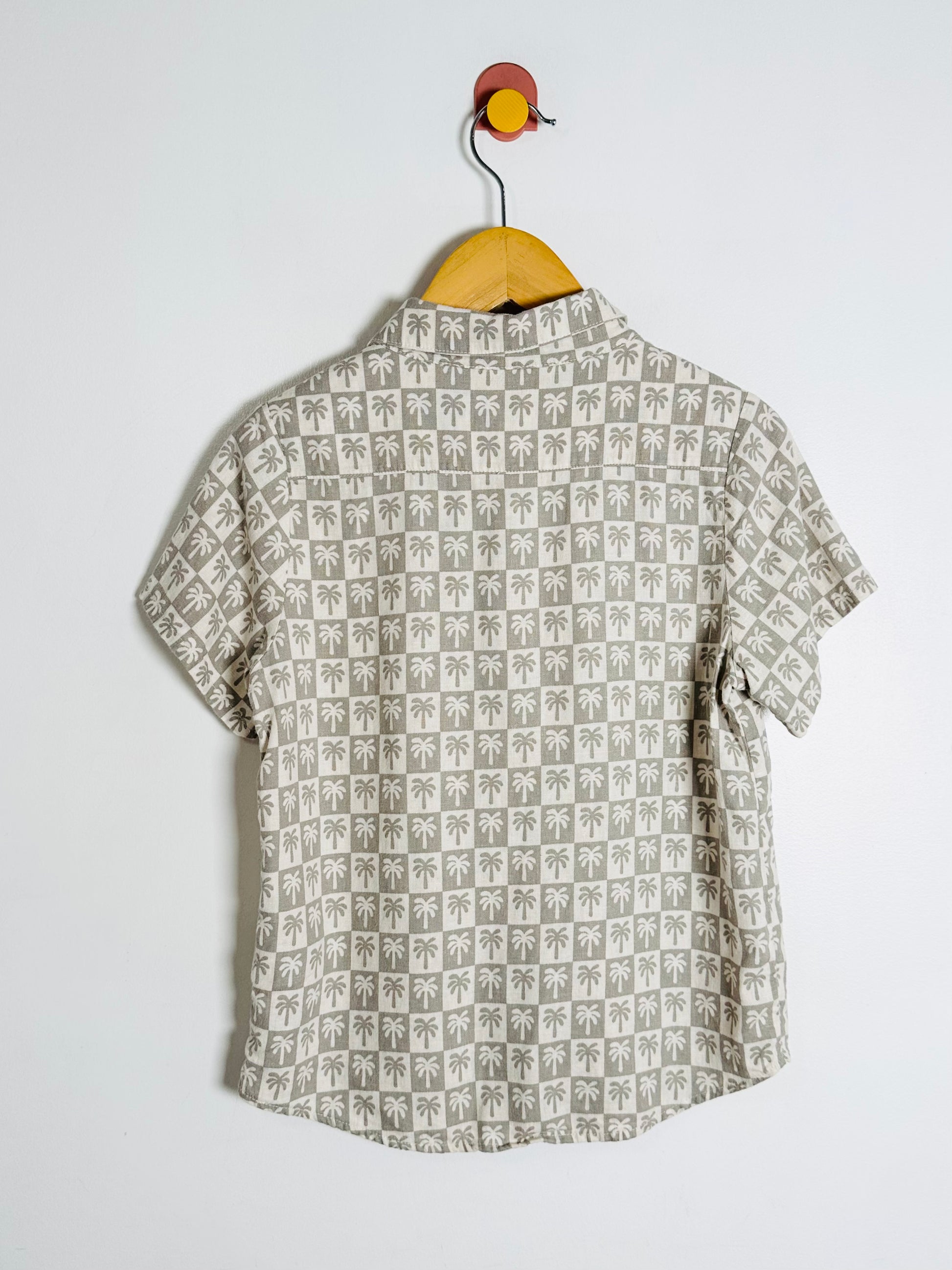 Short-sleeve shirt with a pattern on a hanger against a white background