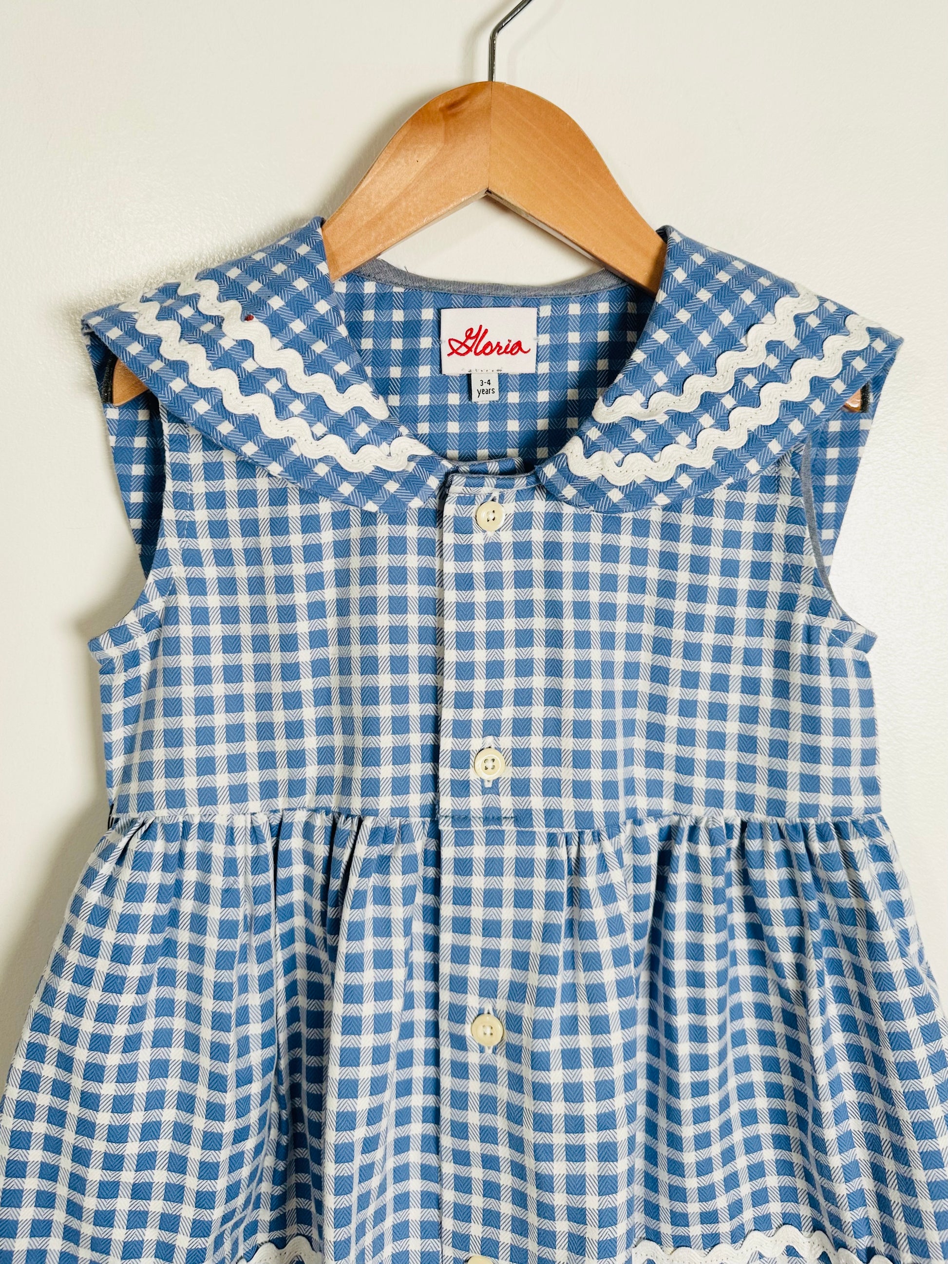 Blue and white checkered dress on a wooden hanger against a white background